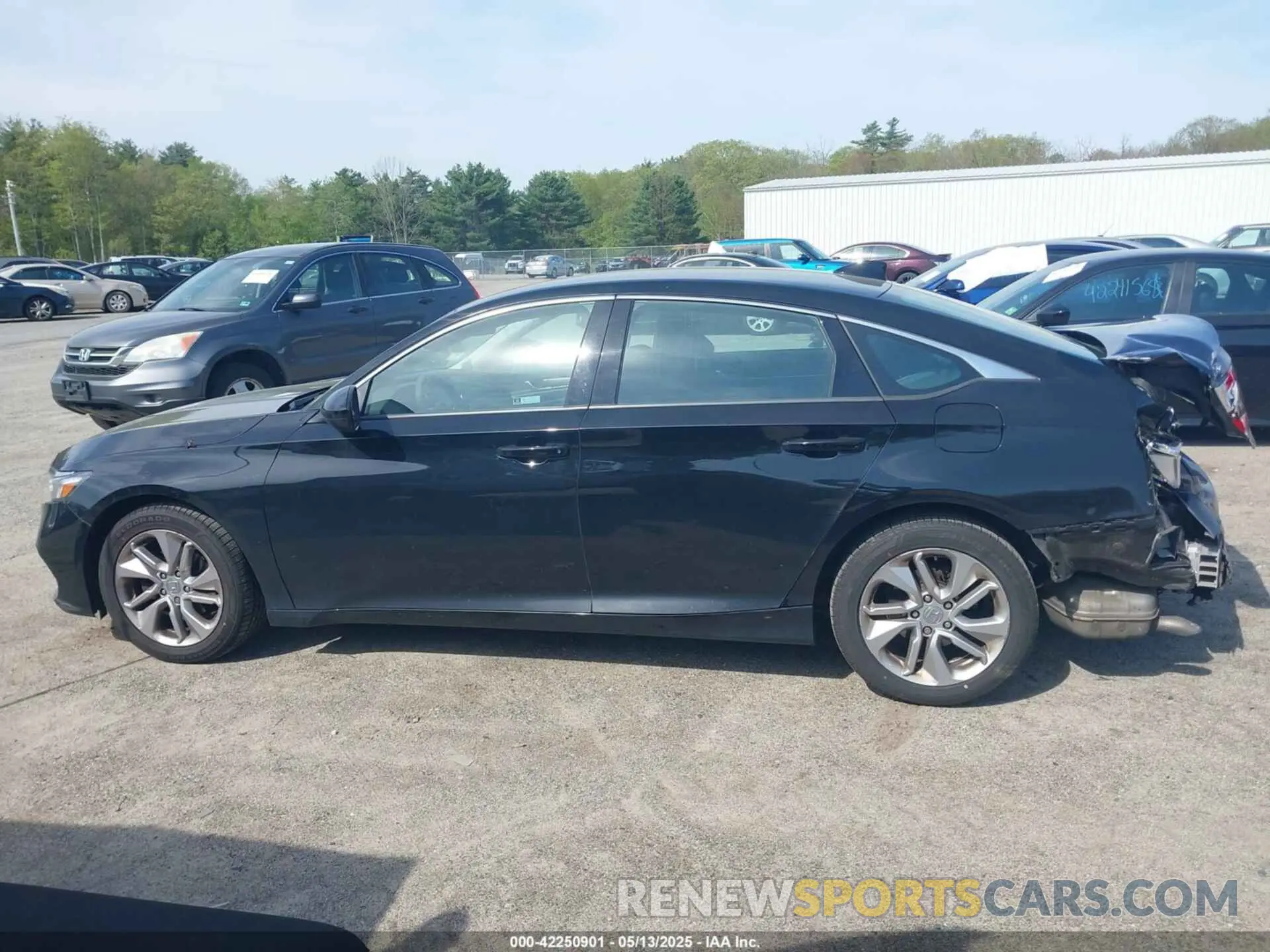 14 fotografías del automóvil dañado 1HGCV1F13LA063775 HONDA ACCORD 2020