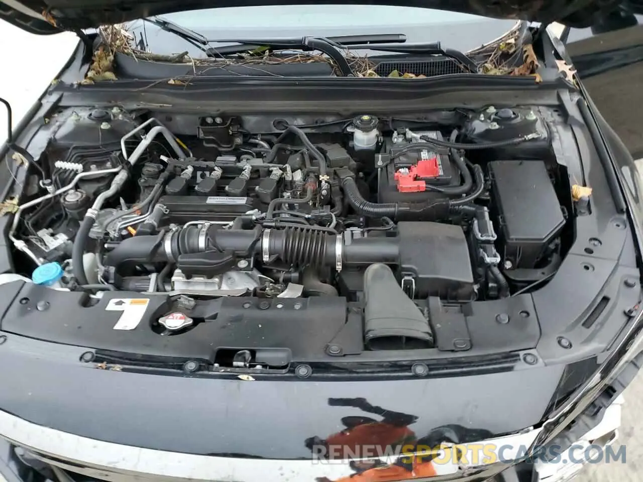11 fotografías del automóvil dañado 1HGCV1F33LA145846 HONDA ACCORD 2020
