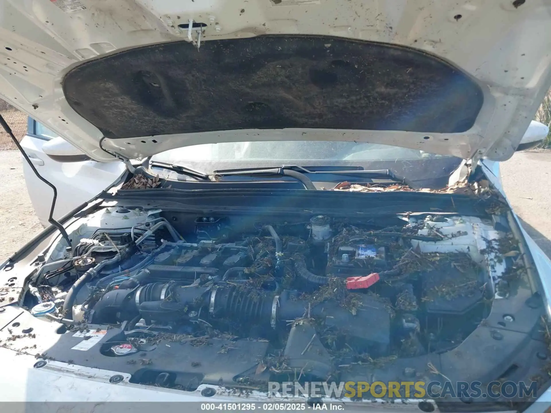 10 fotografías del automóvil dañado 1HGCV1F15MA120351 HONDA ACCORD 2021