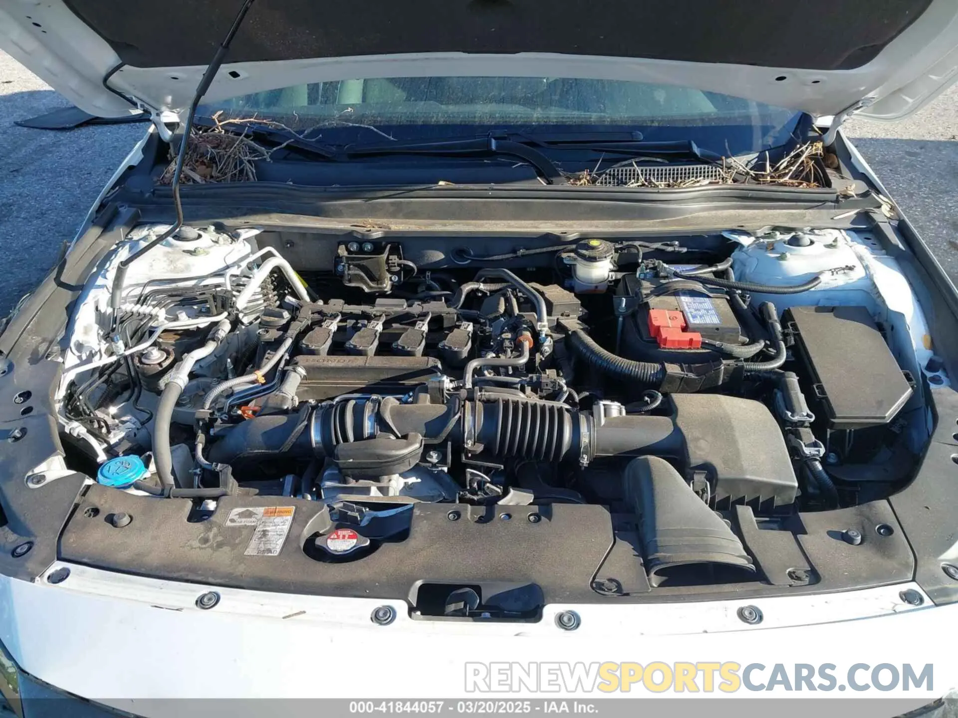 10 fotografías del automóvil dañado 1HGCV1F33NA049461 HONDA ACCORD 2022
