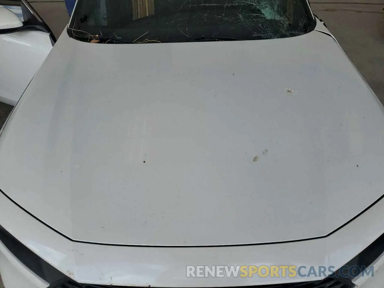 11 fotografías del automóvil dañado 1HGCY1F30PA019649 HONDA ACCORD 2023
