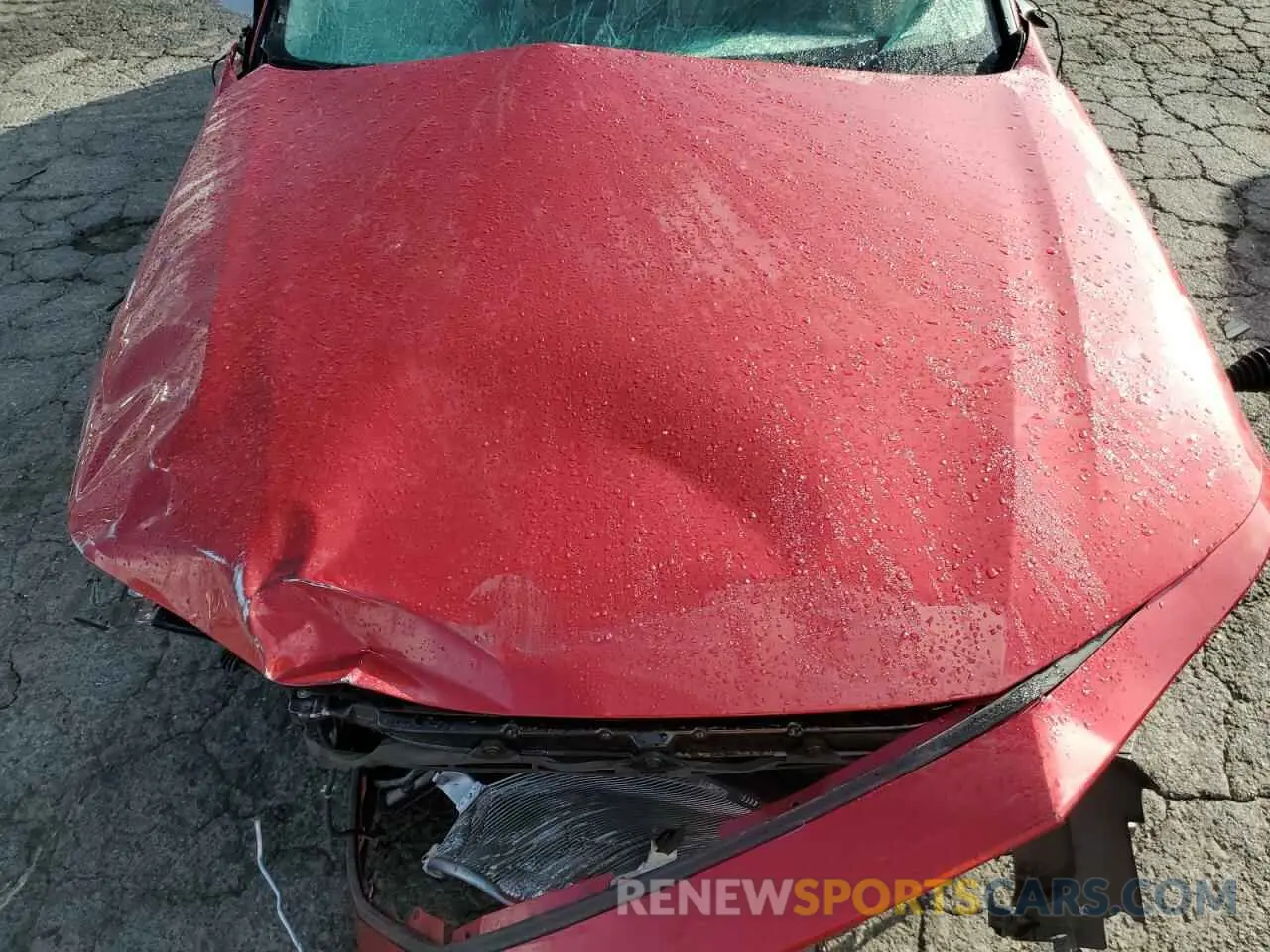 12 fotografías del automóvil dañado 1HGCY1F31PA058170 HONDA ACCORD 2023