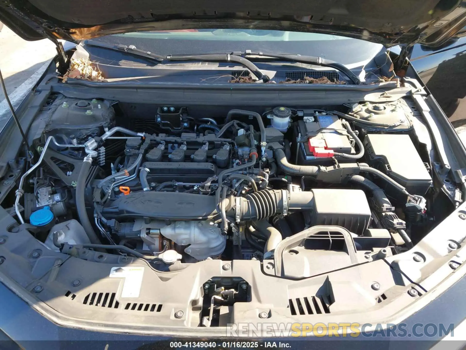 10 fotografías del automóvil dañado 1HGCY1F33PA003252 HONDA ACCORD 2023