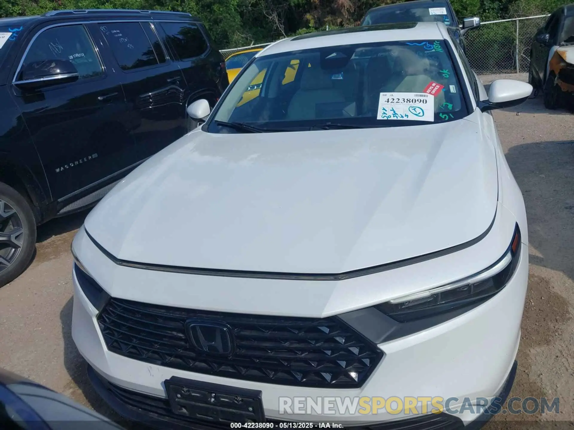 12 fotografías del automóvil dañado 1HGCY1F35PA031554 HONDA ACCORD 2023