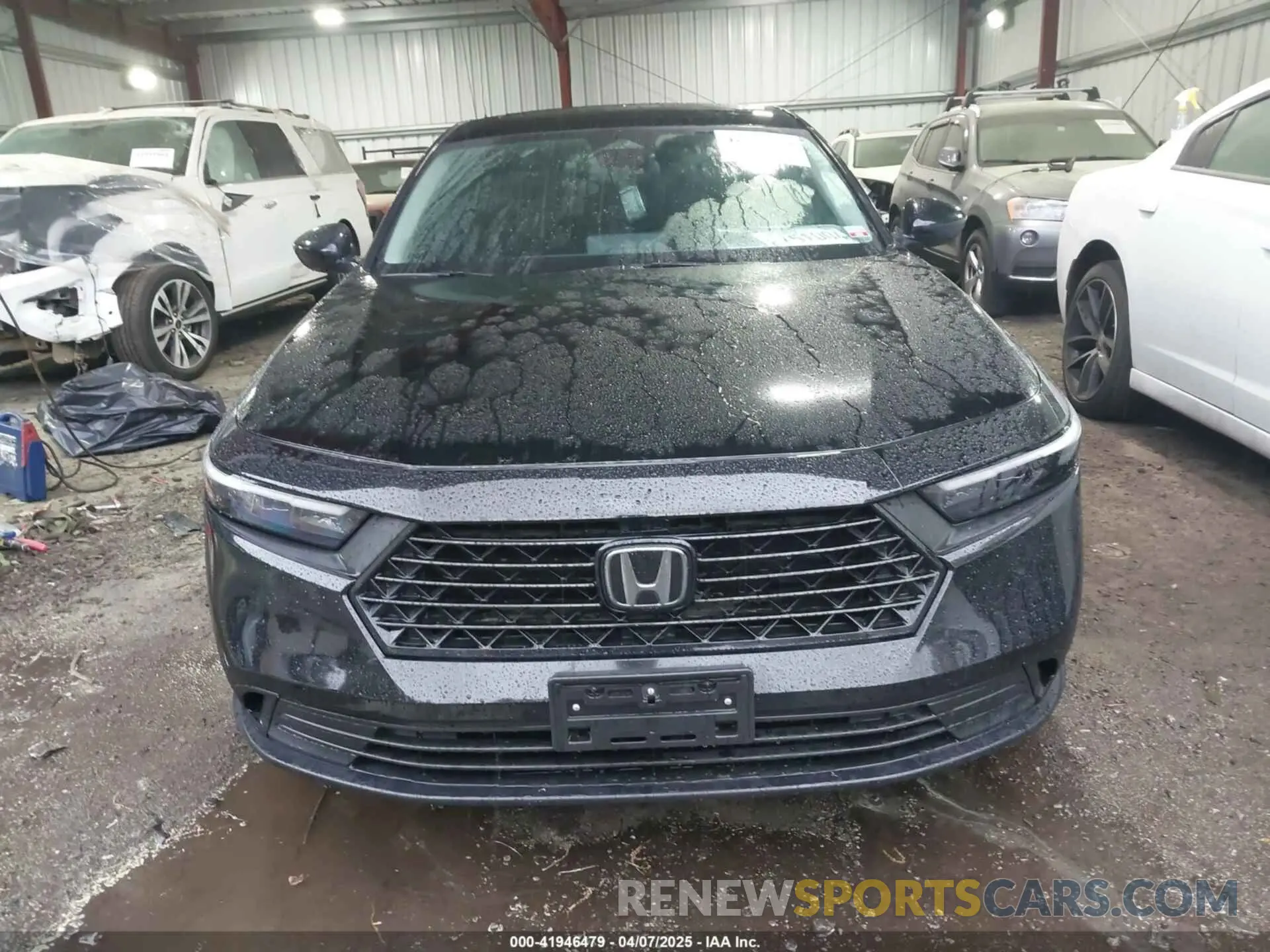 12 fotografías del automóvil dañado 1HGCY1F37PA030101 HONDA ACCORD 2023