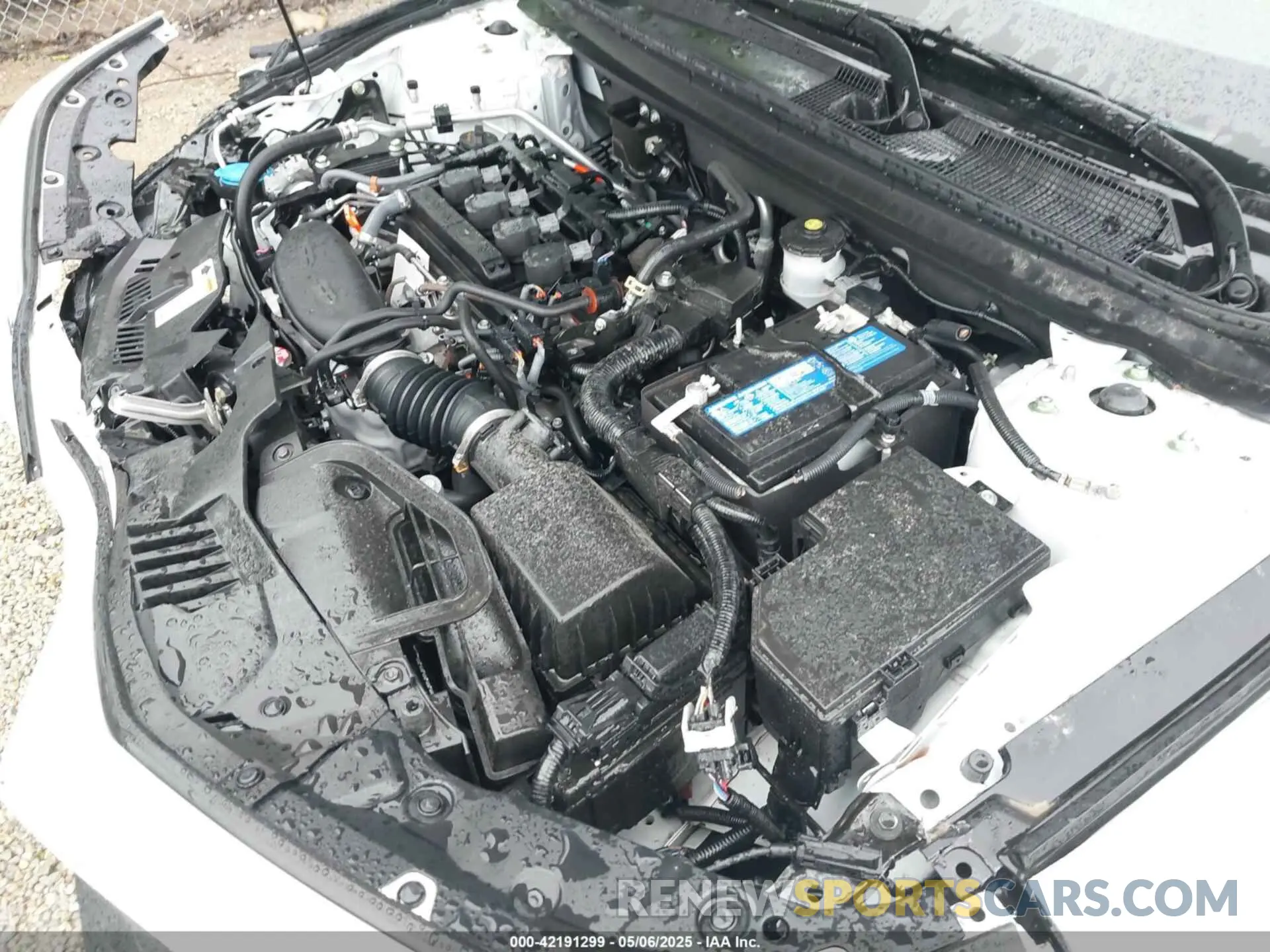 10 fotografías del automóvil dañado 1HGCY1F38PA035551 HONDA ACCORD 2023