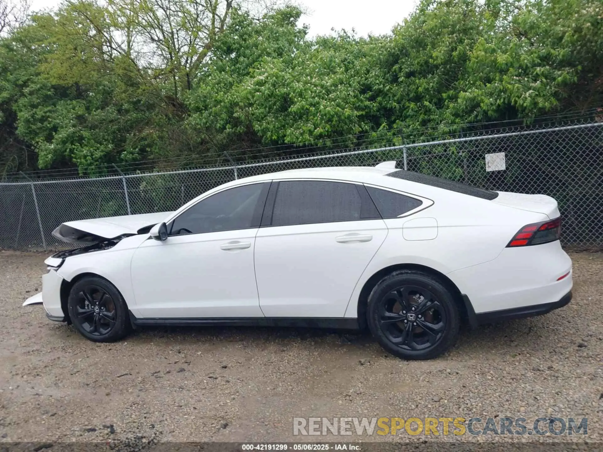 15 fotografías del automóvil dañado 1HGCY1F38PA035551 HONDA ACCORD 2023