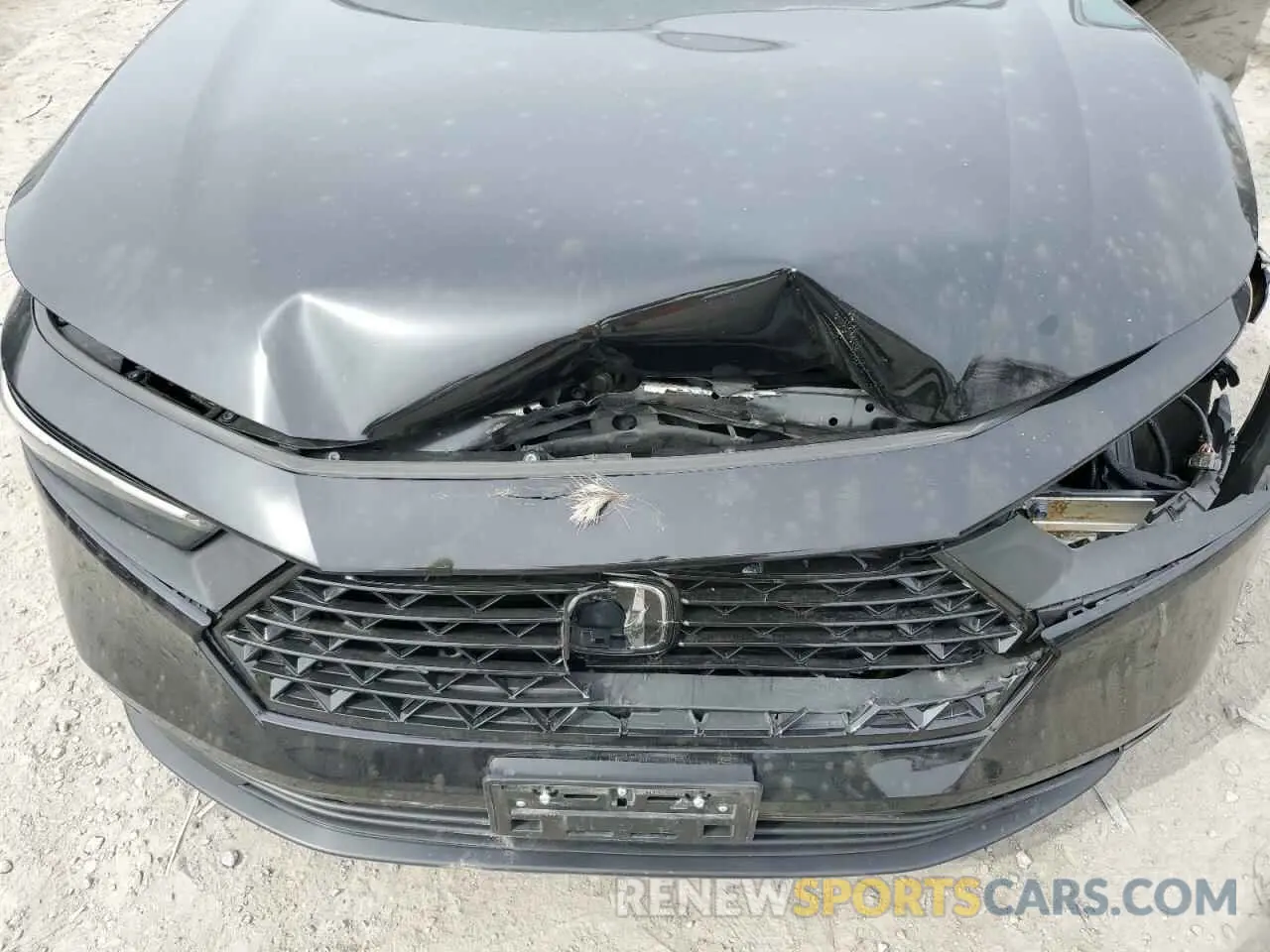 11 fotografías del automóvil dañado 1HGCY1F38PA060840 HONDA ACCORD 2023