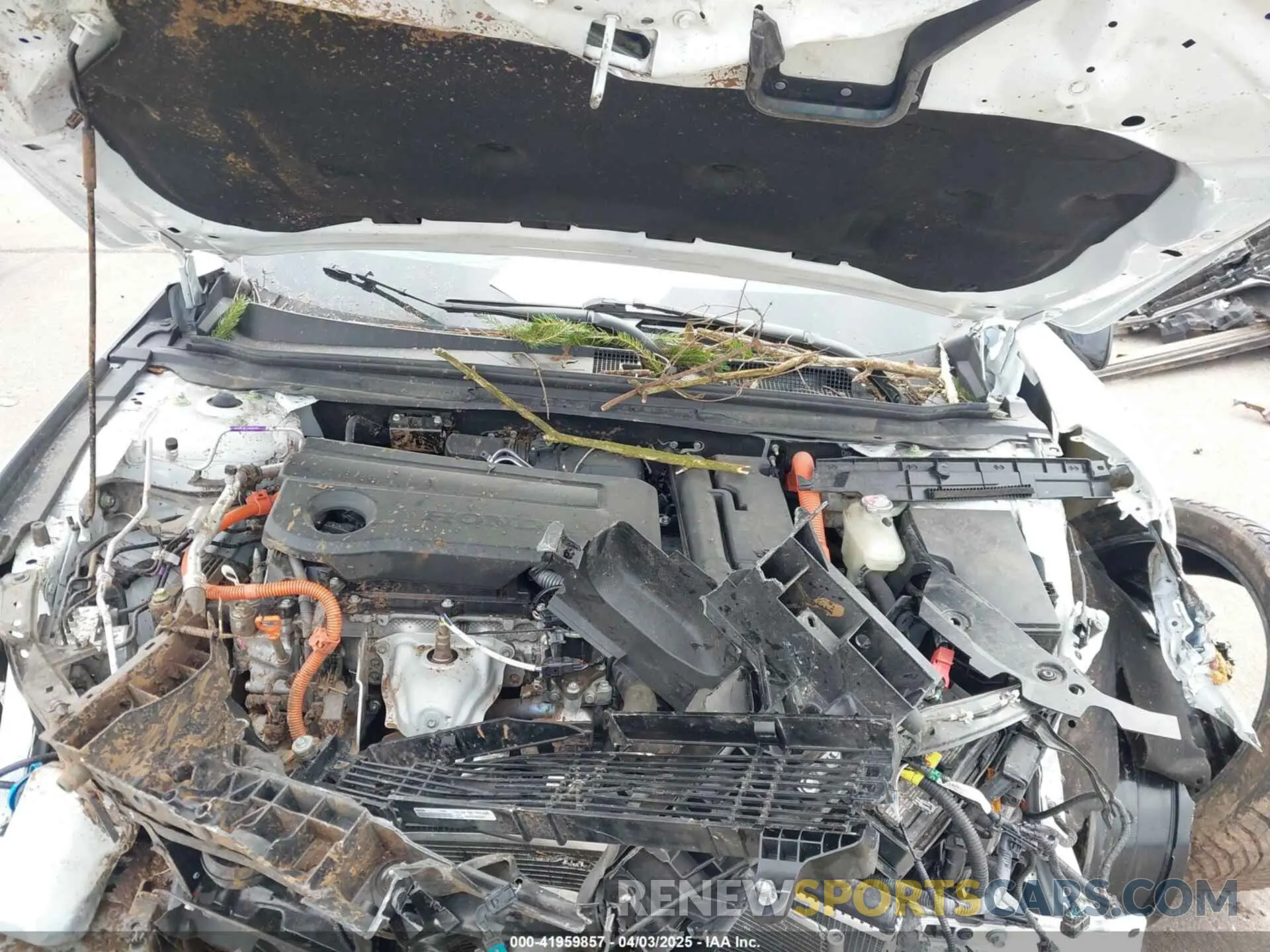 10 fotografías del automóvil dañado 1HGCY2F55PA033070 HONDA ACCORD 2023