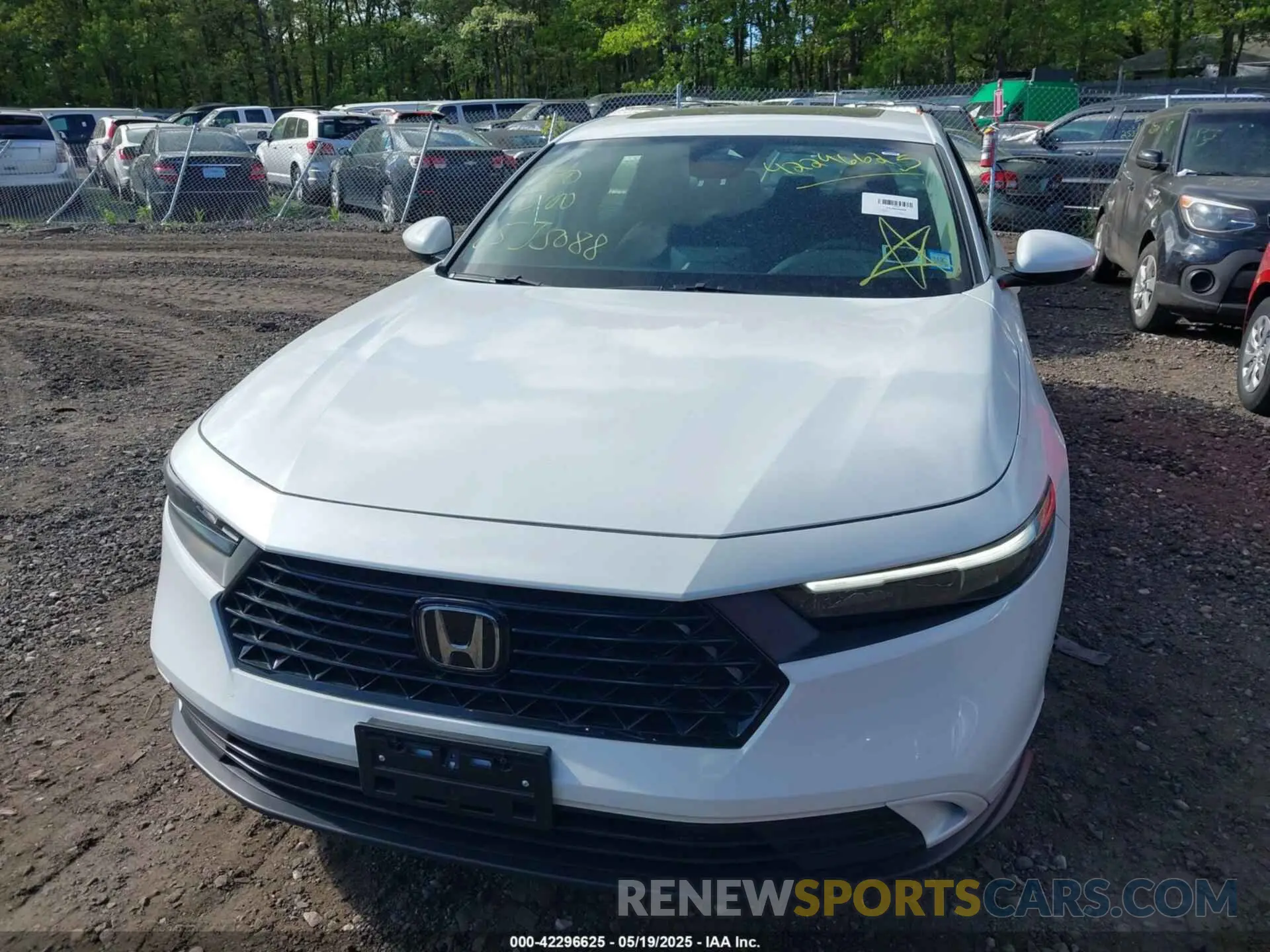 12 fotografías del automóvil dañado 1HGCY1F31RA019419 HONDA ACCORD 2024