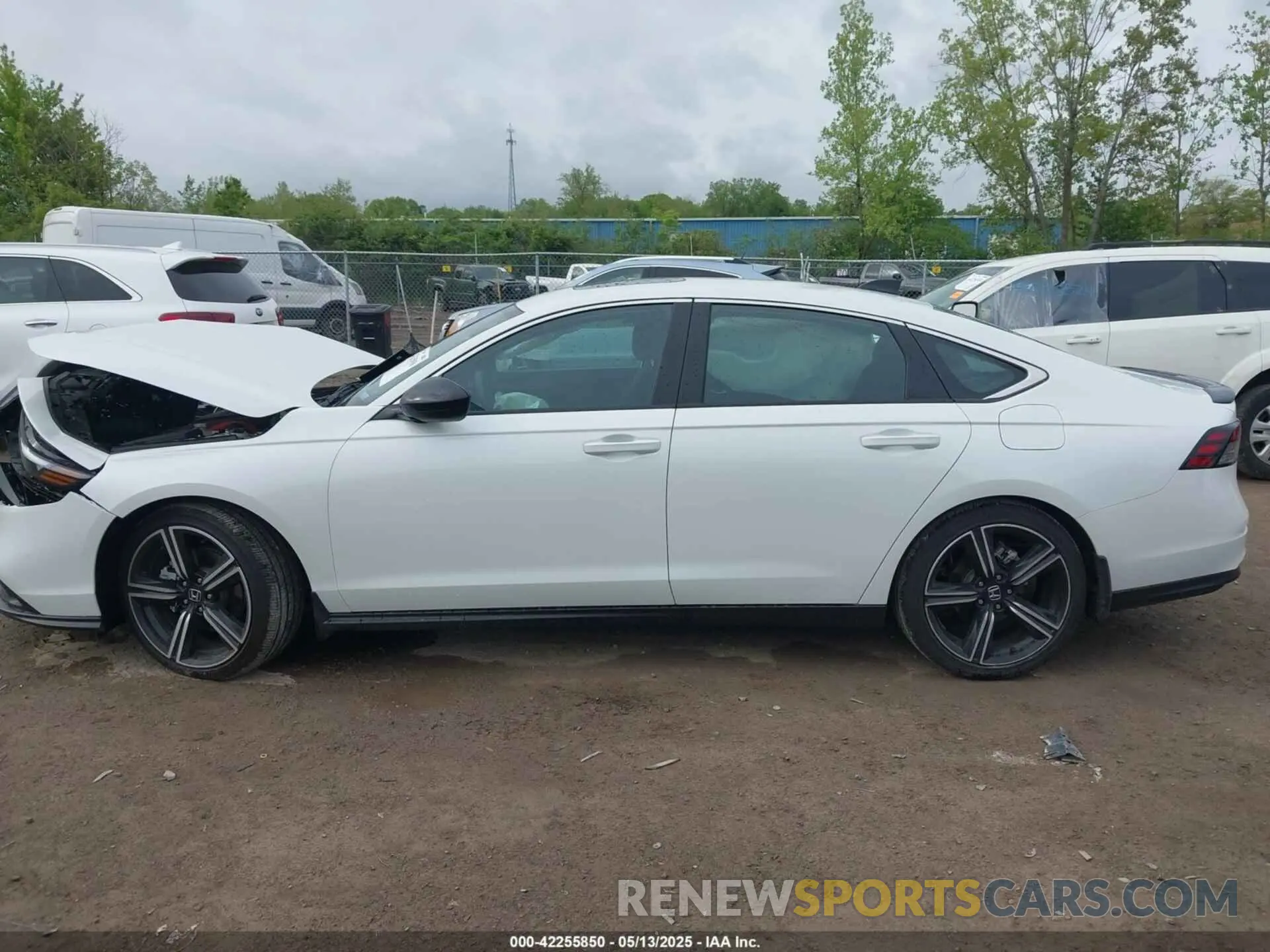 14 fotografías del automóvil dañado 1HGCY2F55RA036067 HONDA ACCORD 2024