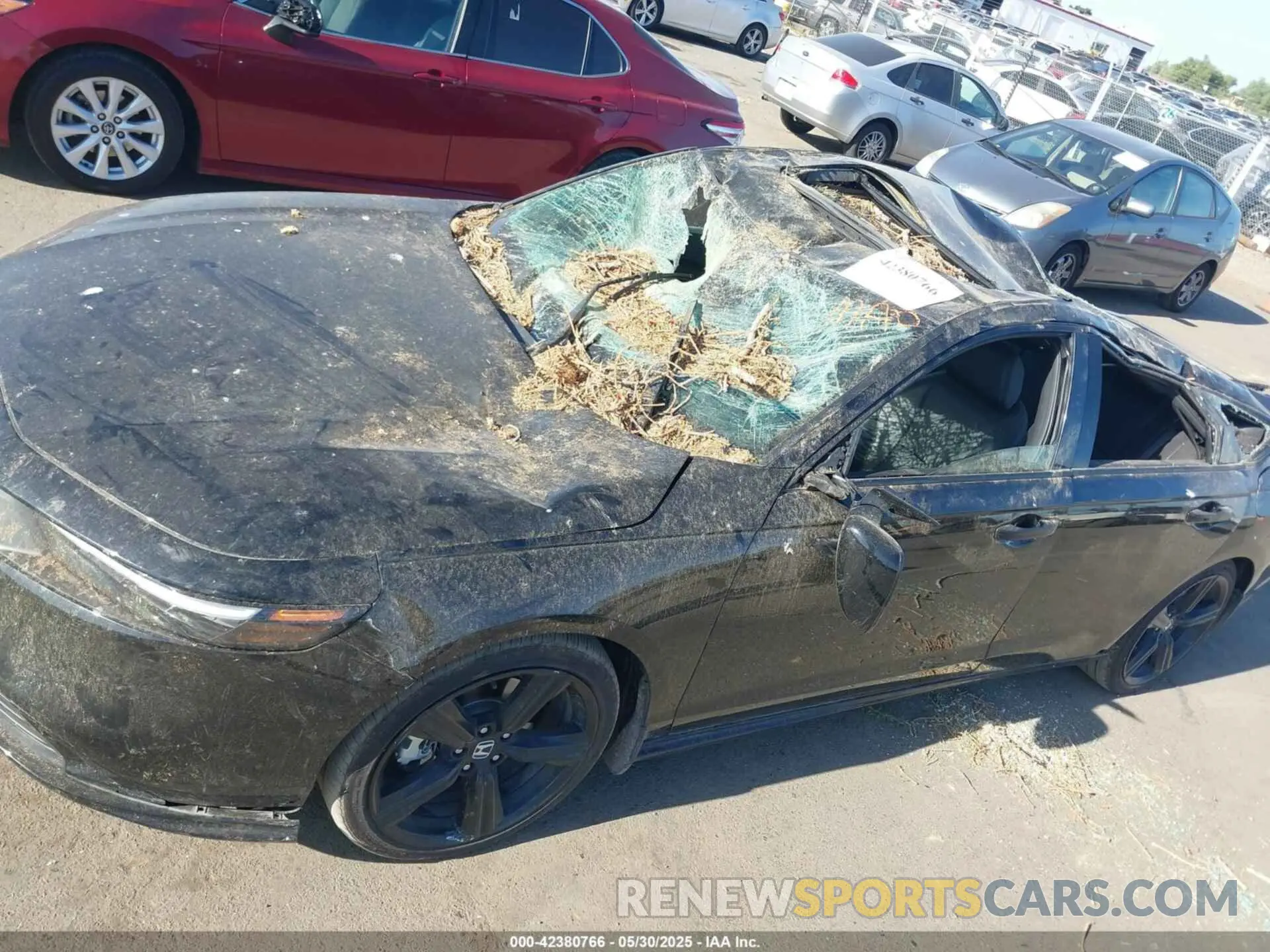 6 fotografías del automóvil dañado 1HGCY2F77RA062476 HONDA ACCORD 2024