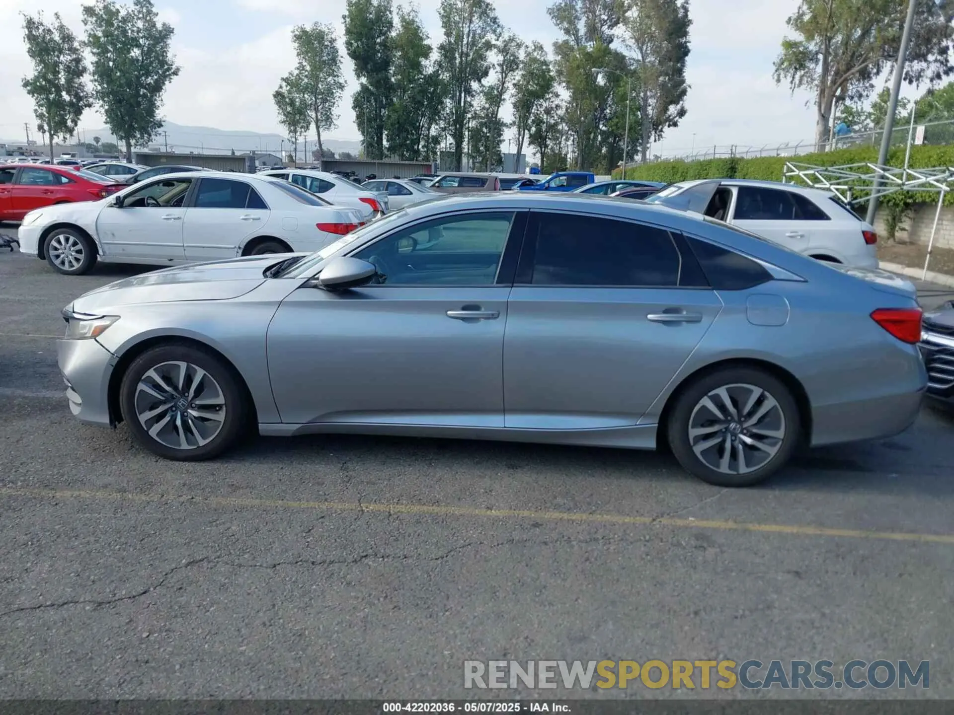 14 fotografías del automóvil dañado 1HGCV3F1XKA015328 HONDA ACCORD HYBRID 2019