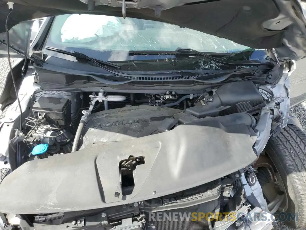 12 fotografías del automóvil dañado 5FNRL6H59KB101009 HONDA All Models 2019
