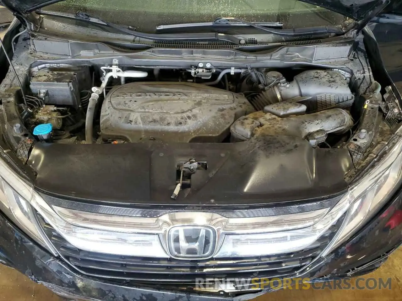 12 fotografías del automóvil dañado 5FNRL6H70KB016433 HONDA All Models 2019