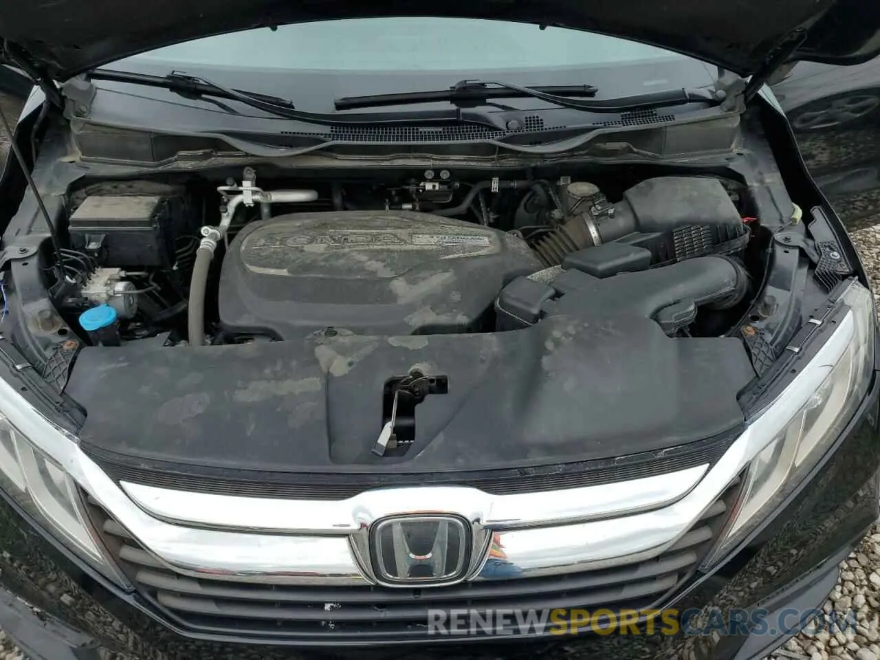 12 fotografías del automóvil dañado 5FNRL6H70KB038738 HONDA All Models 2019