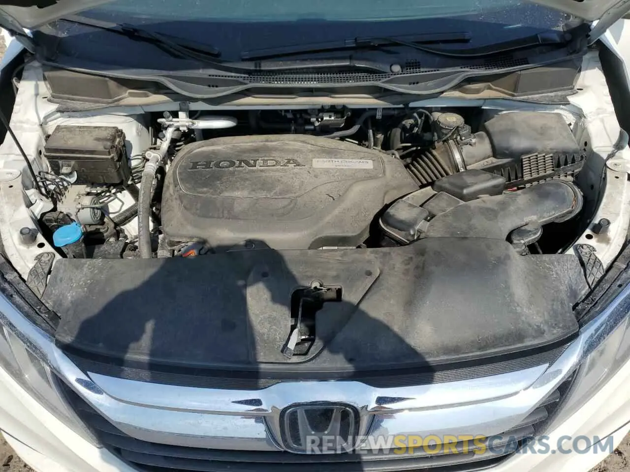13 fotografías del automóvil dañado 5FNRL6H71KB003335 HONDA All Models 2019