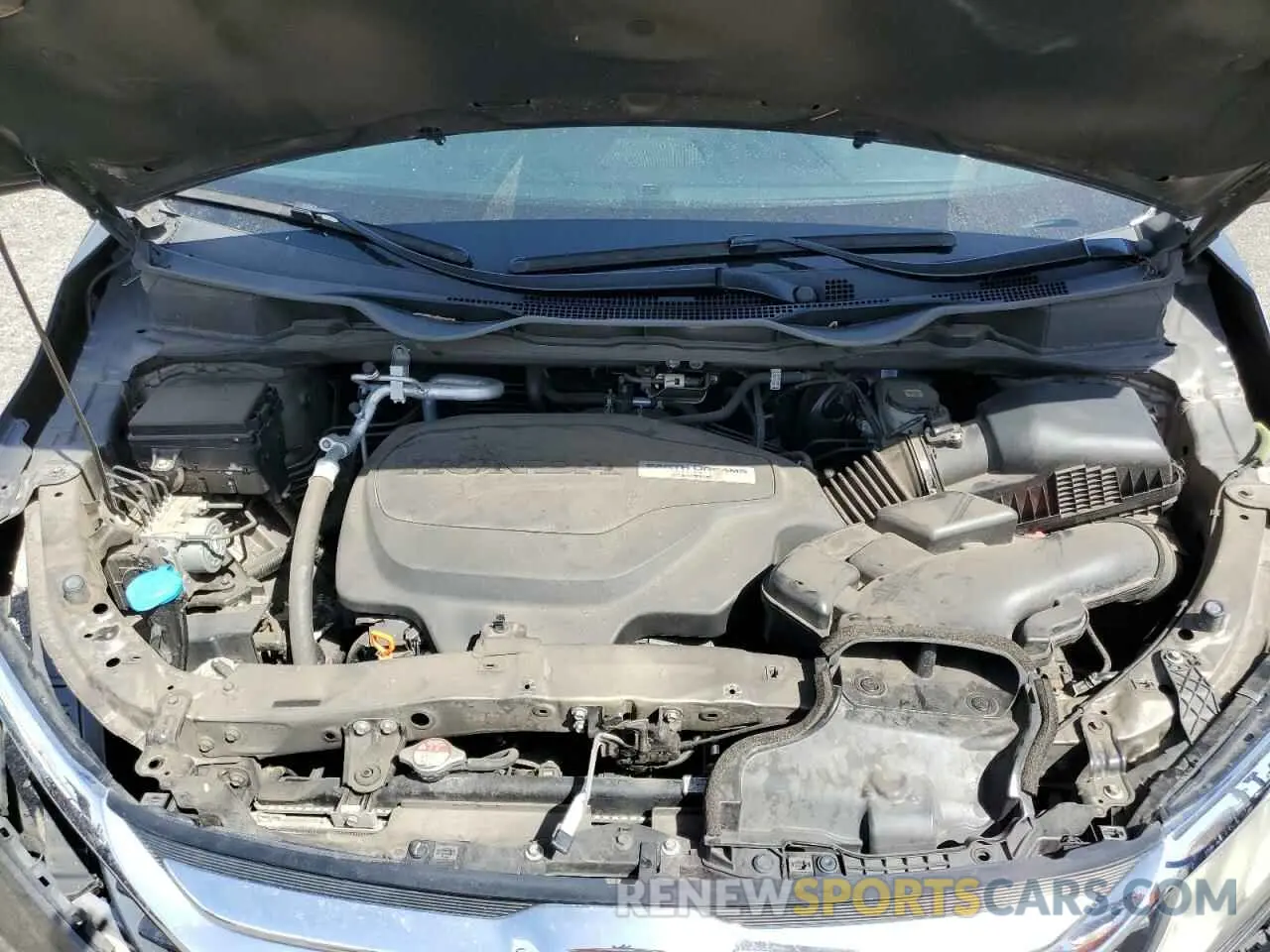 12 fotografías del automóvil dañado 5FNRL6H71KB066628 HONDA All Models 2019