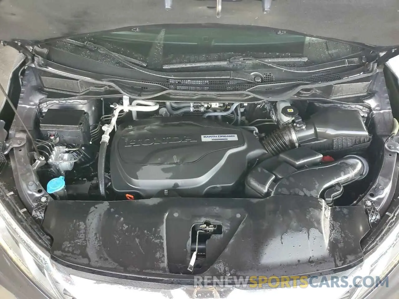 12 fotografías del automóvil dañado 5FNRL6H71KB126181 HONDA All Models 2019