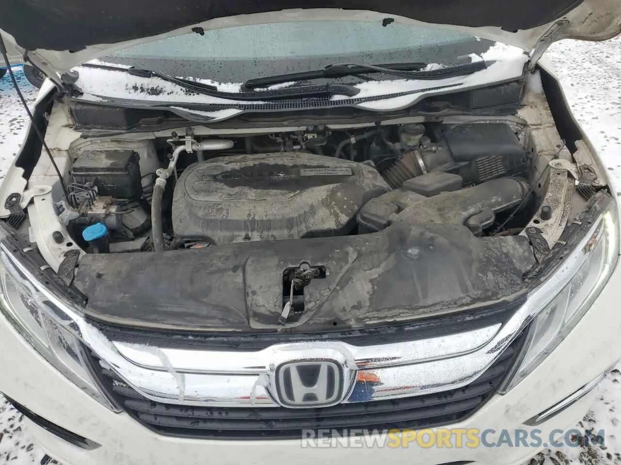 12 fotografías del automóvil dañado 5FNRL6H72KB013260 HONDA All Models 2019
