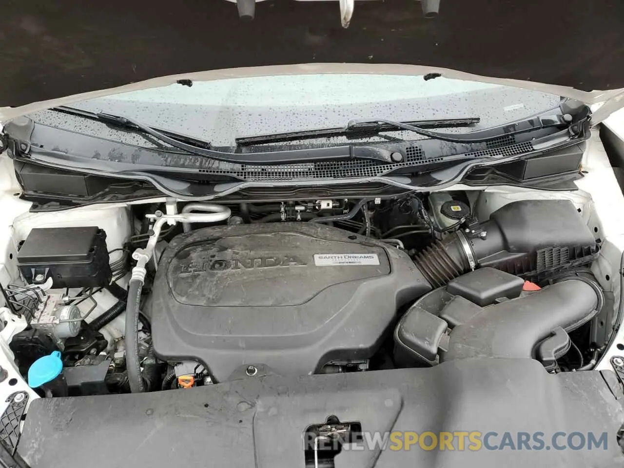12 fotografías del automóvil dañado 5FNRL6H73KB057624 HONDA All Models 2019