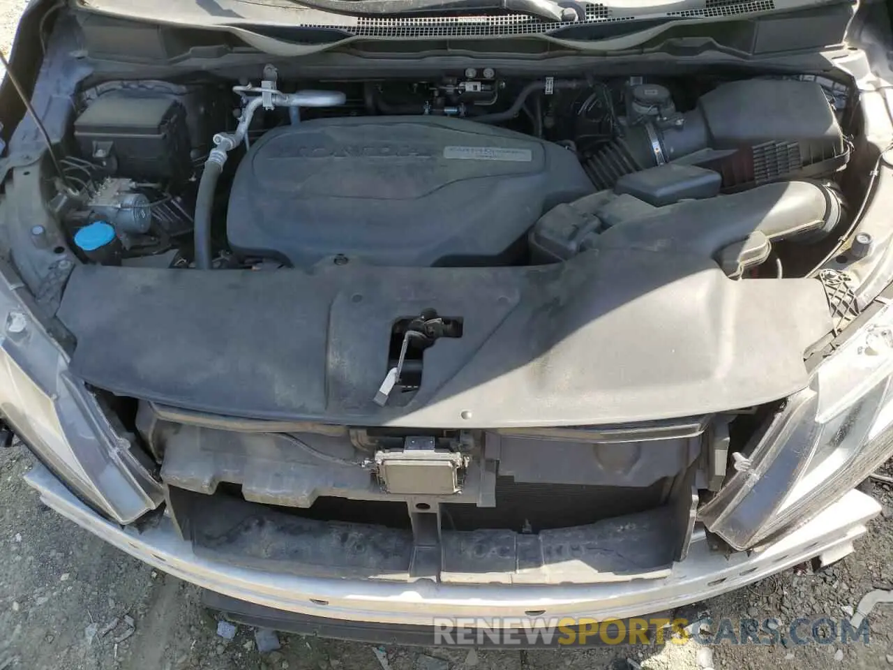 12 fotografías del automóvil dañado 5FNRL6H74KB079468 HONDA All Models 2019