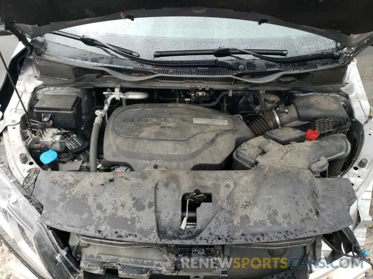 12 fotografías del automóvil dañado 5FNRL6H74KB117846 HONDA All Models 2019