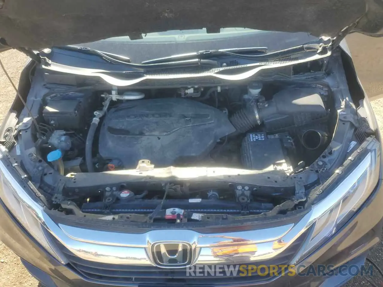 12 fotografías del automóvil dañado 5FNRL6H79KB045249 HONDA All Models 2019