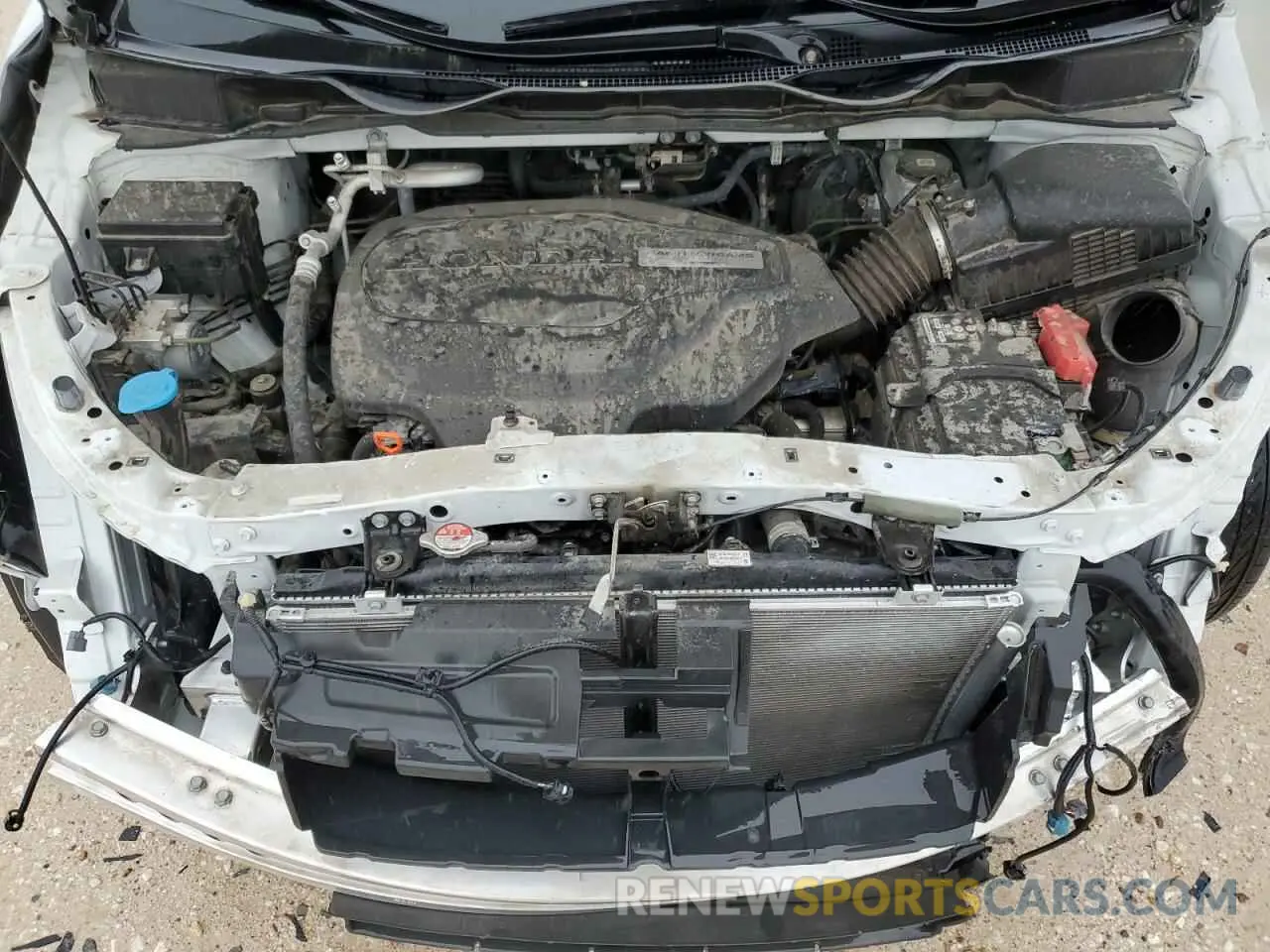 12 fotografías del automóvil dañado 5FNRL6H71LB026244 HONDA All Models 2020