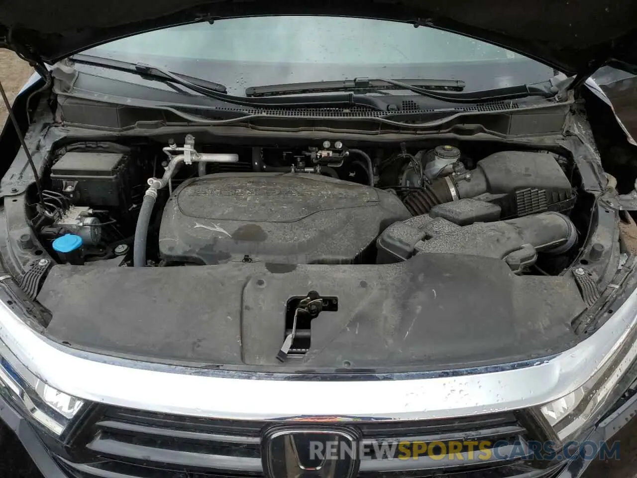 12 fotografías del automóvil dañado 5FNRL6H69RB501705 HONDA All Models 2024
