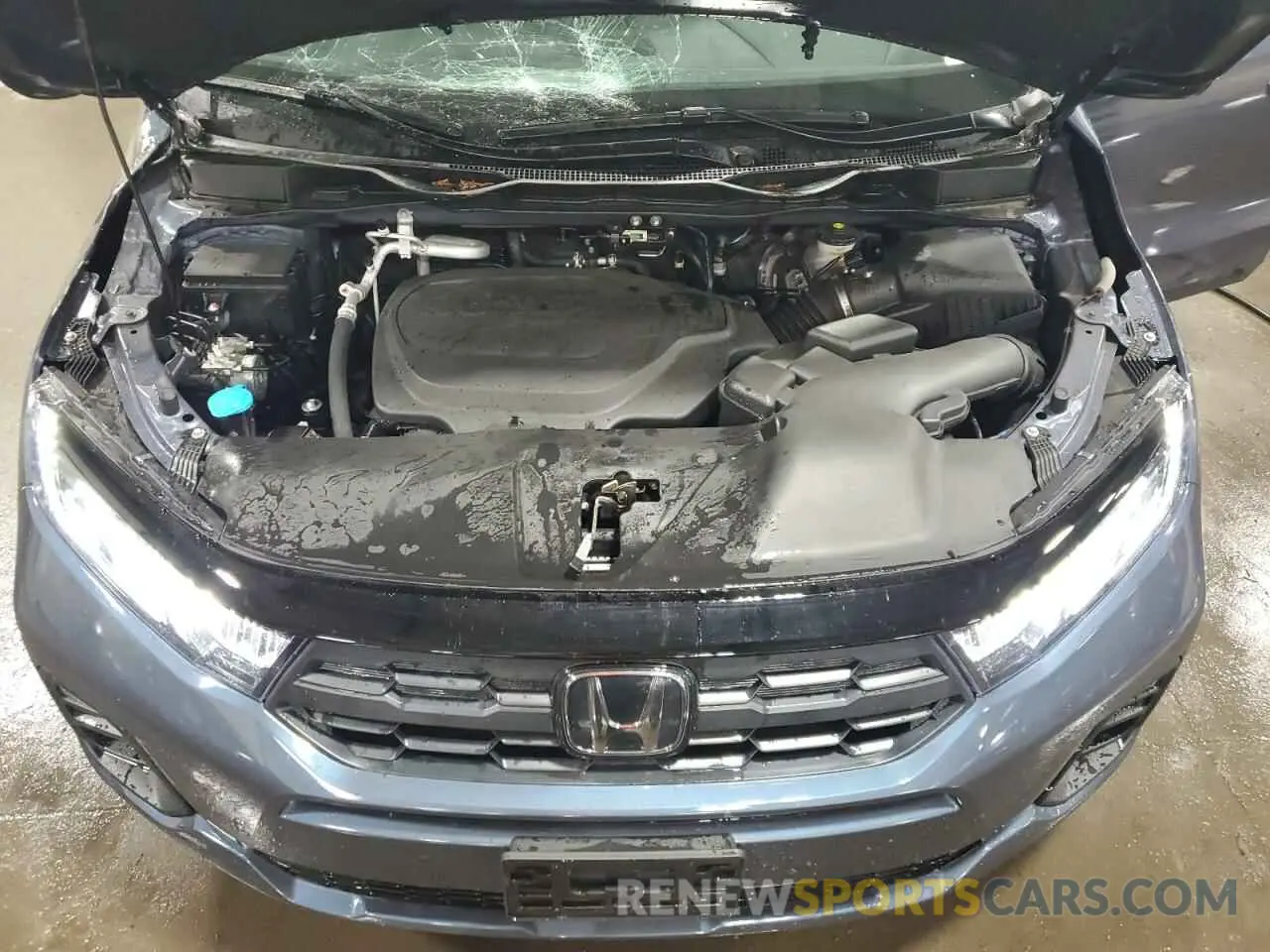 12 fotografías del automóvil dañado 5FNRL6H66SB009185 HONDA All Models 2025