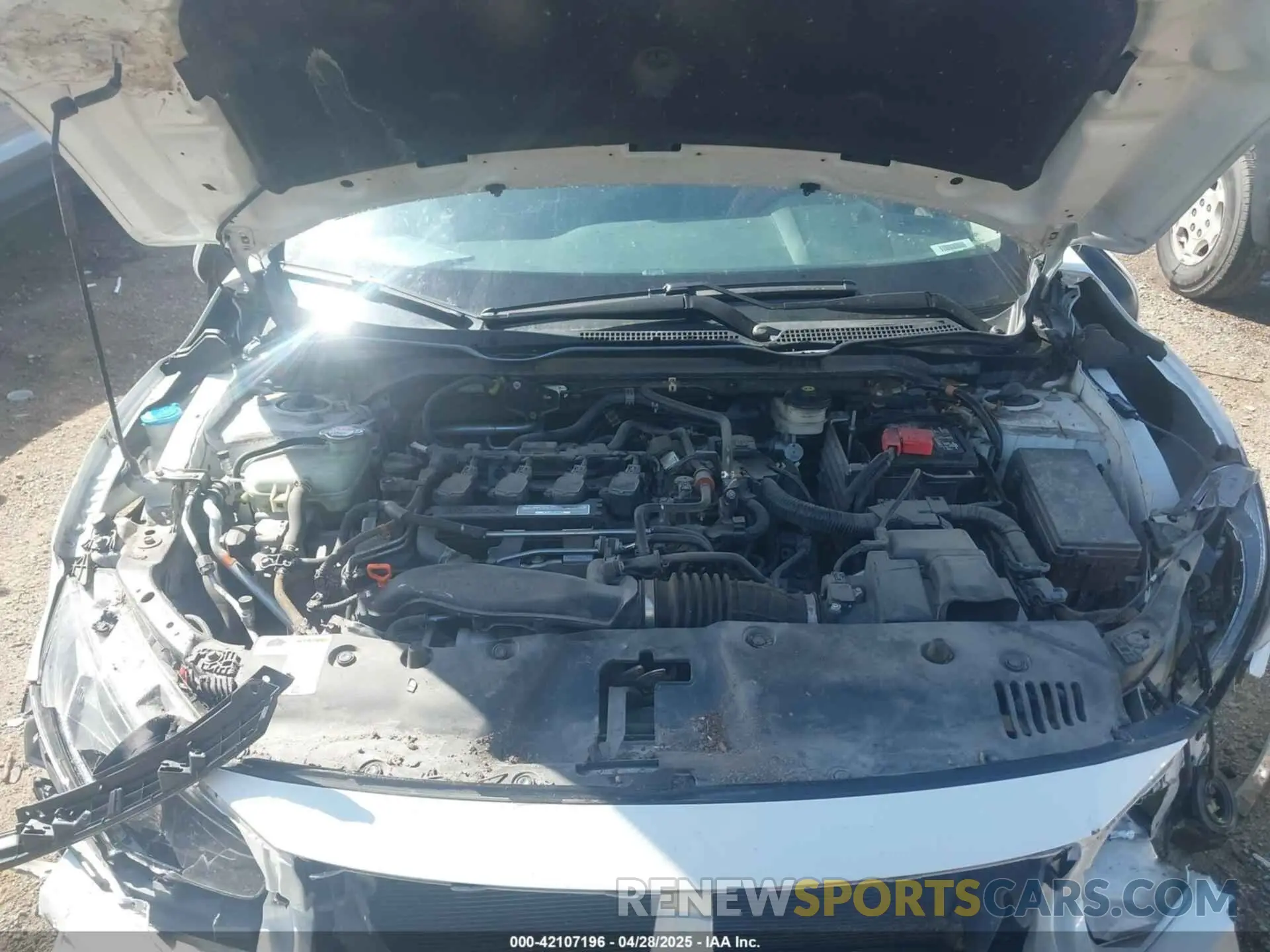 10 fotografías del automóvil dañado 19XFC1F31KE014525 HONDA CIVIC 2019