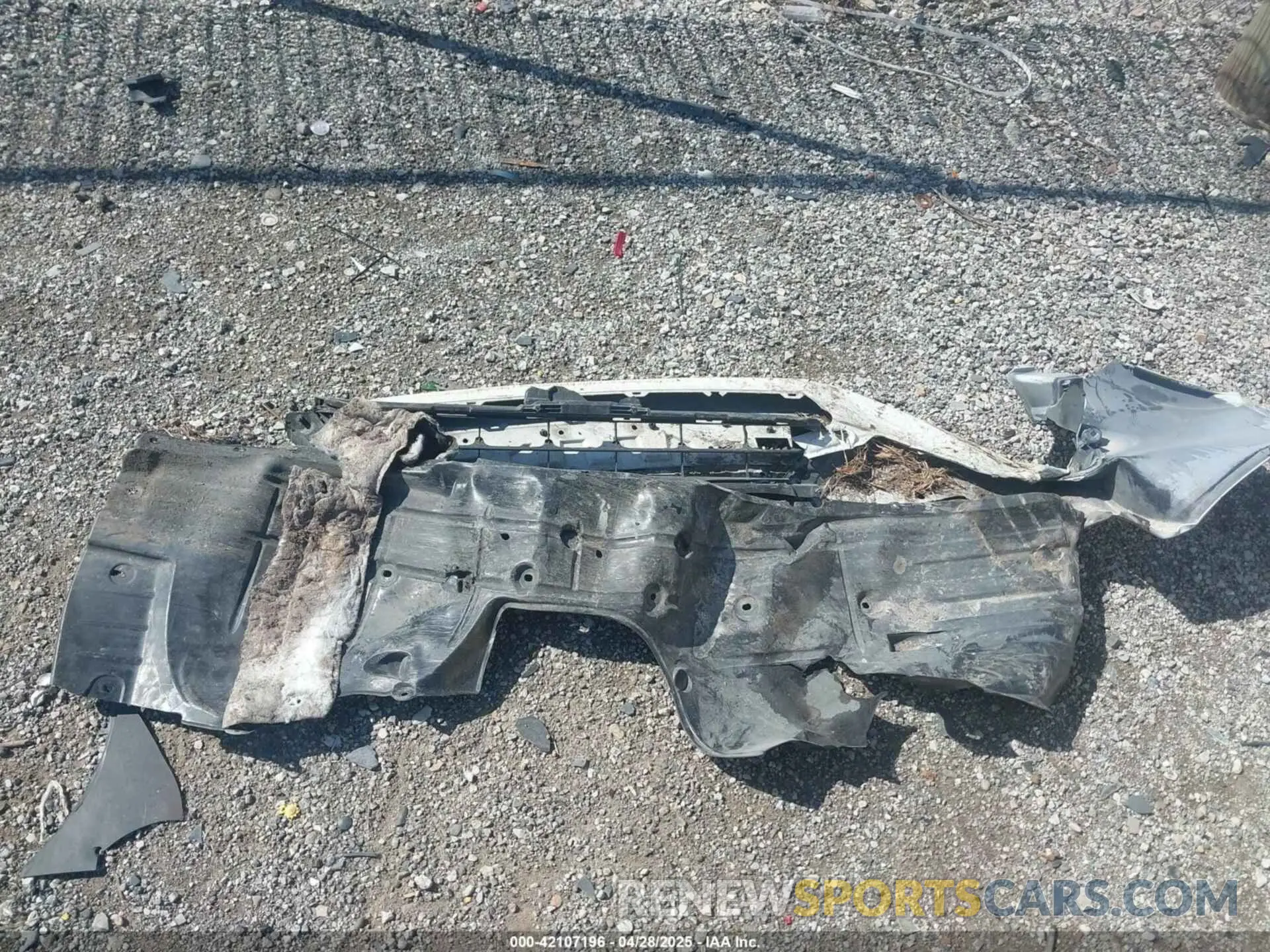 12 fotografías del automóvil dañado 19XFC1F31KE014525 HONDA CIVIC 2019