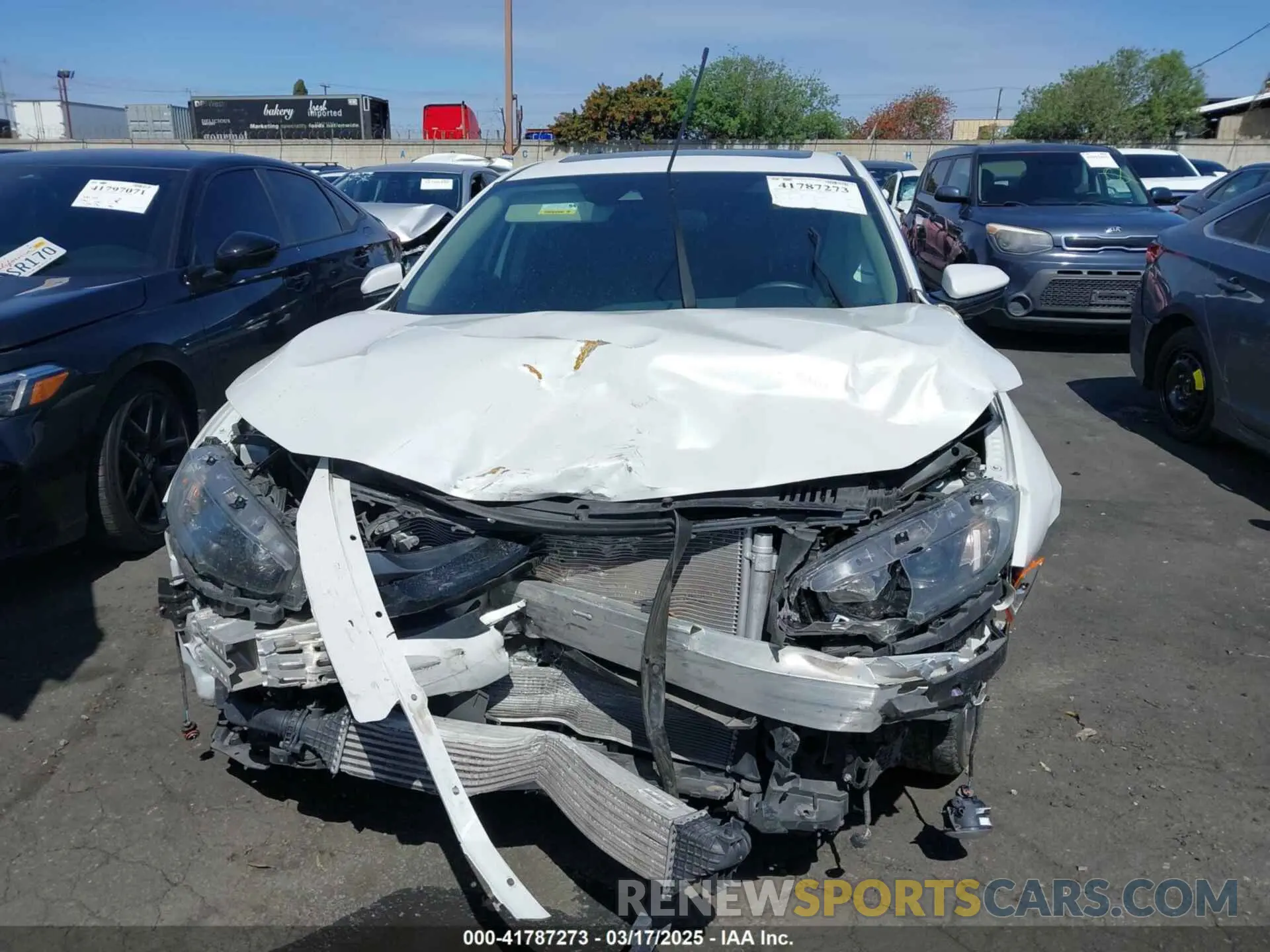 12 fotografías del automóvil dañado 19XFC1F34KE203444 HONDA CIVIC 2019