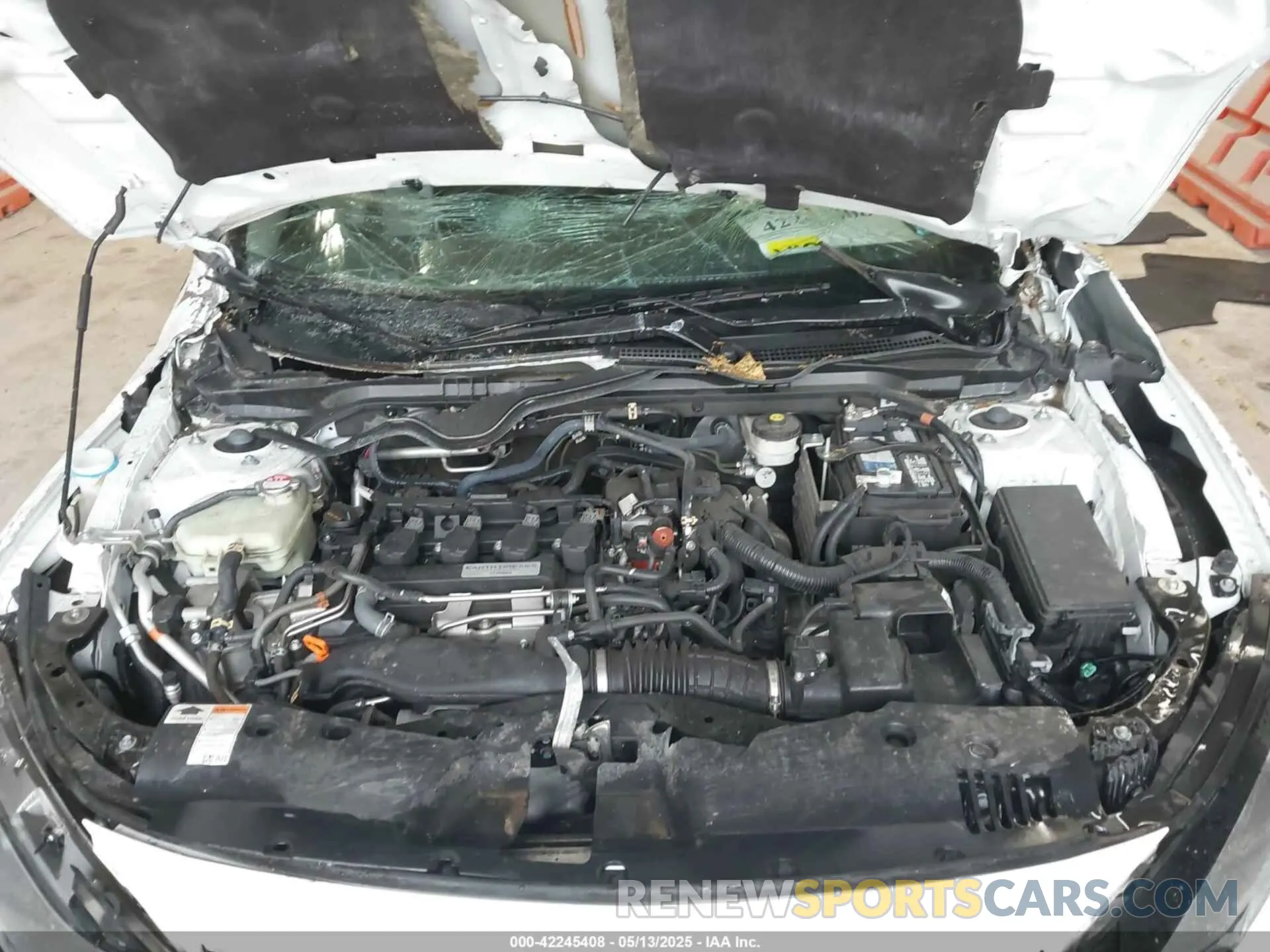 10 fotografías del automóvil dañado 19XFC1F36KE016030 HONDA CIVIC 2019