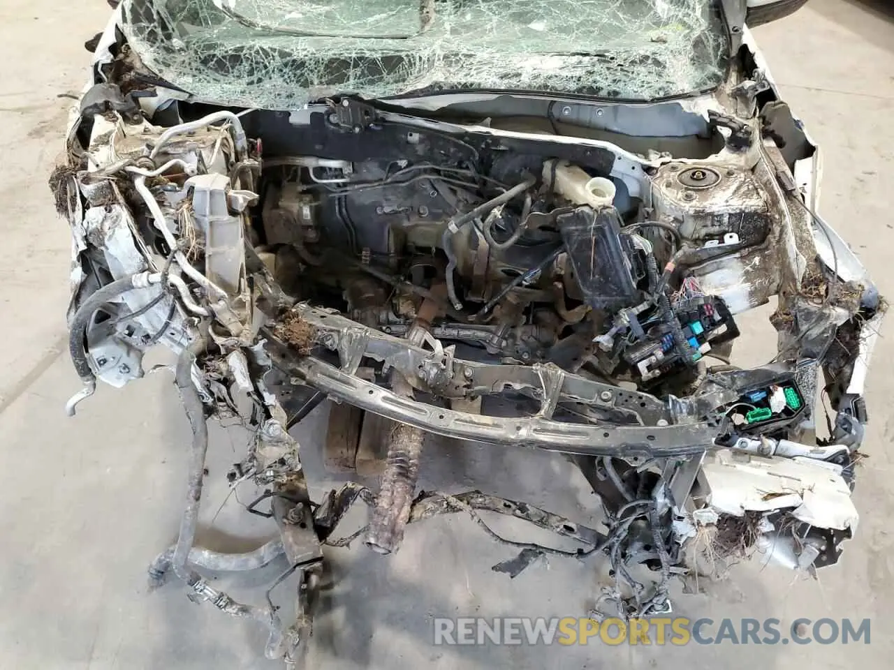 11 fotografías del automóvil dañado 19XFC2F82KE203623 HONDA CIVIC 2019