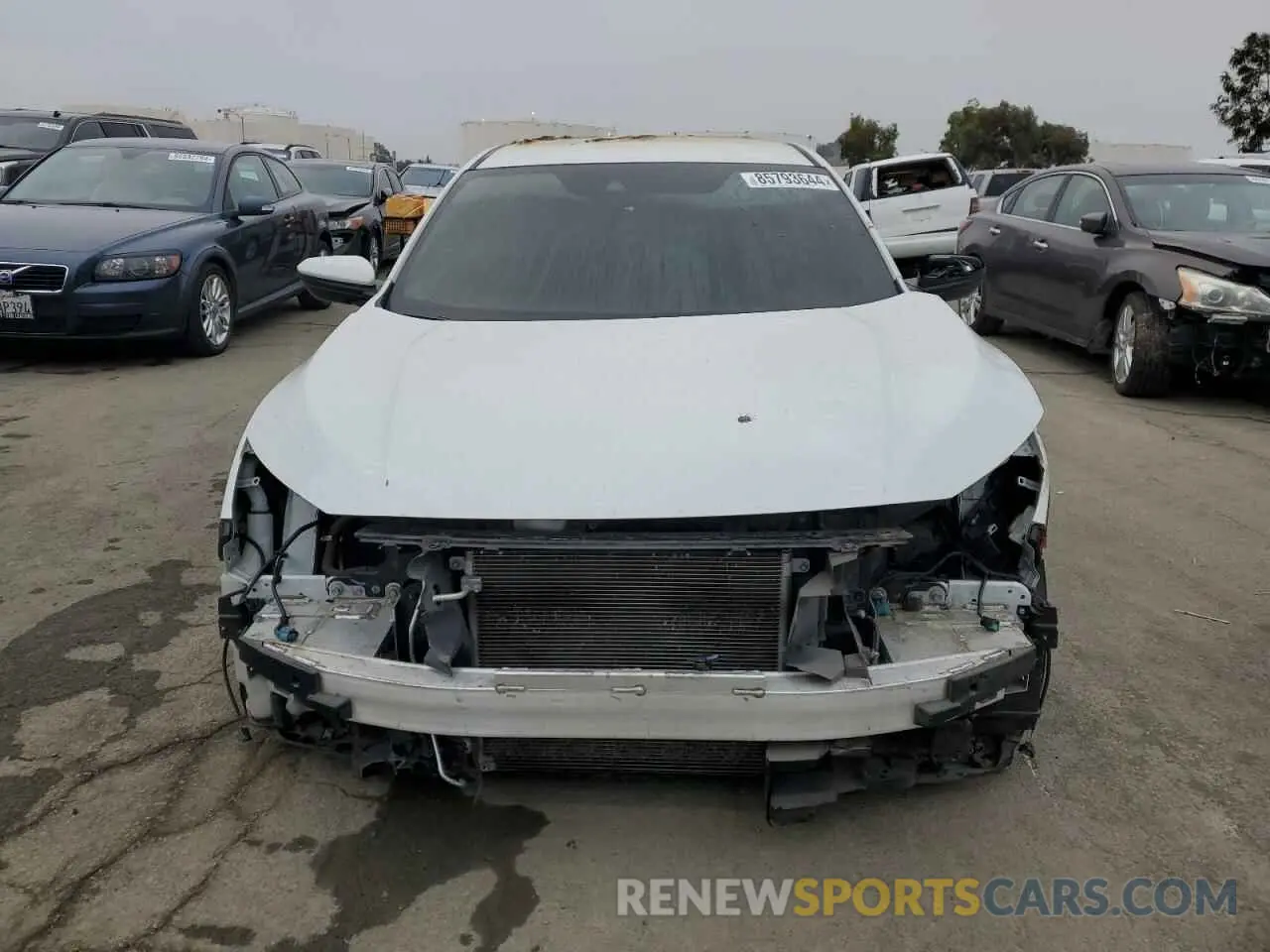 5 fotografías del automóvil dañado 19XFC2F87KE205612 HONDA CIVIC 2019