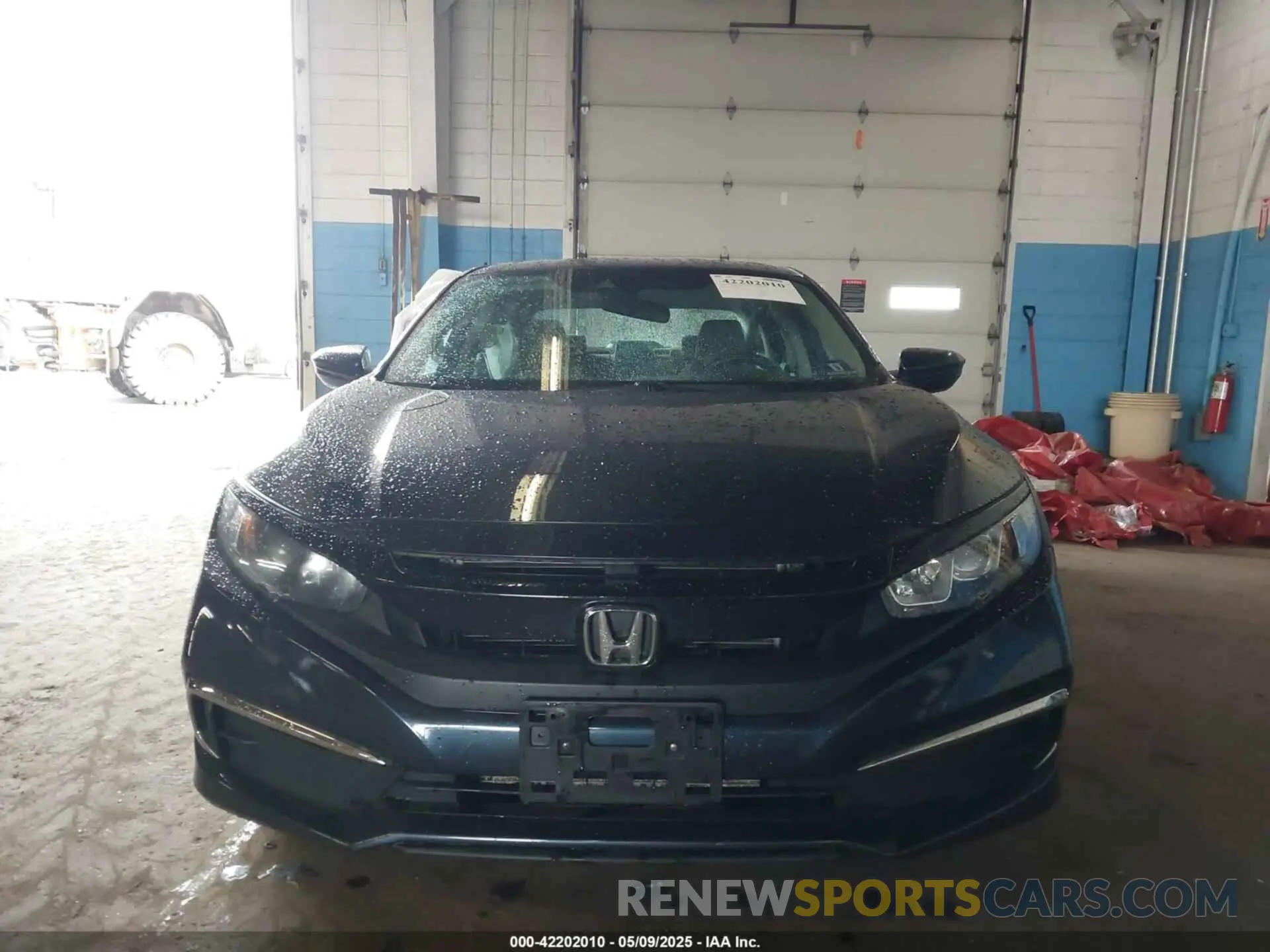 13 fotografías del automóvil dañado 2HGFC2F60KH599328 HONDA CIVIC 2019