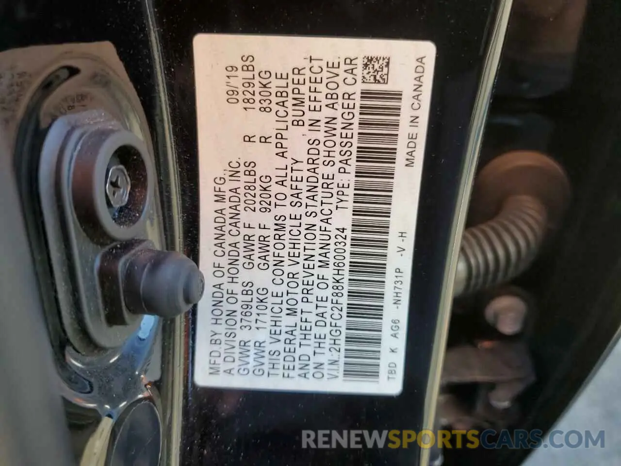 14 fotografías del automóvil dañado 2HGFC2F88KH600324 HONDA CIVIC 2019