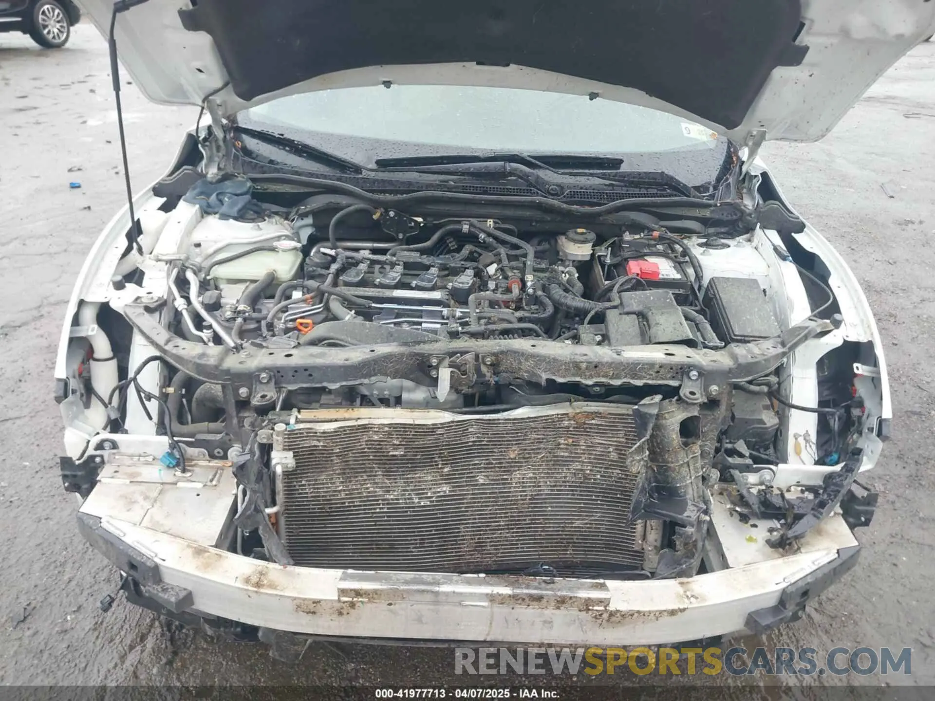 10 fotografías del automóvil dañado JHMFC1F36KX005401 HONDA CIVIC 2019