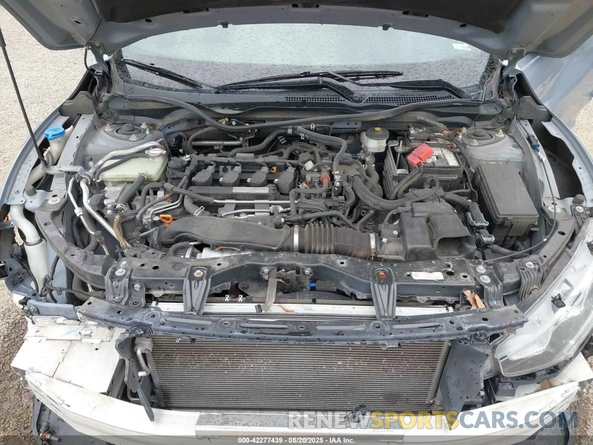 10 fotografías del automóvil dañado SHHFK7H68KU209964 HONDA CIVIC 2019
