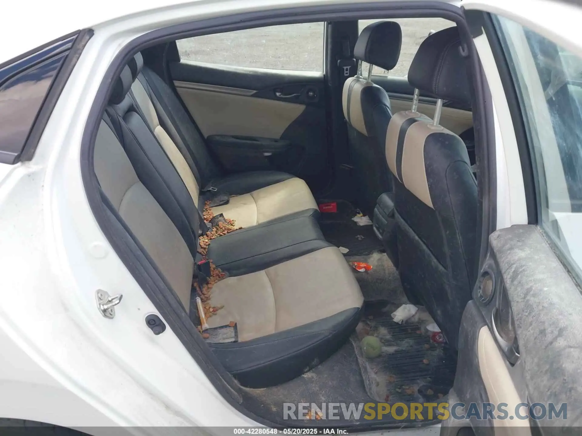 8 fotografías del automóvil dañado SHHFK7H92KU415680 HONDA CIVIC 2019