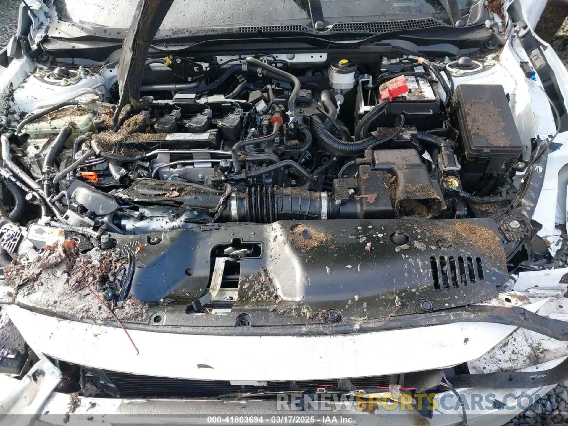 10 fotografías del automóvil dañado SHHFK7H98KU408264 HONDA CIVIC 2019
