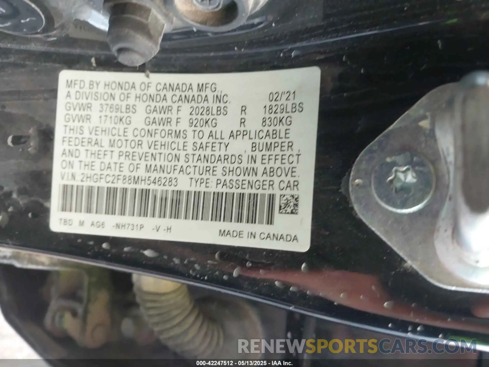 9 fotografías del automóvil dañado 2HGFC2F88MH546283 HONDA CIVIC 2021