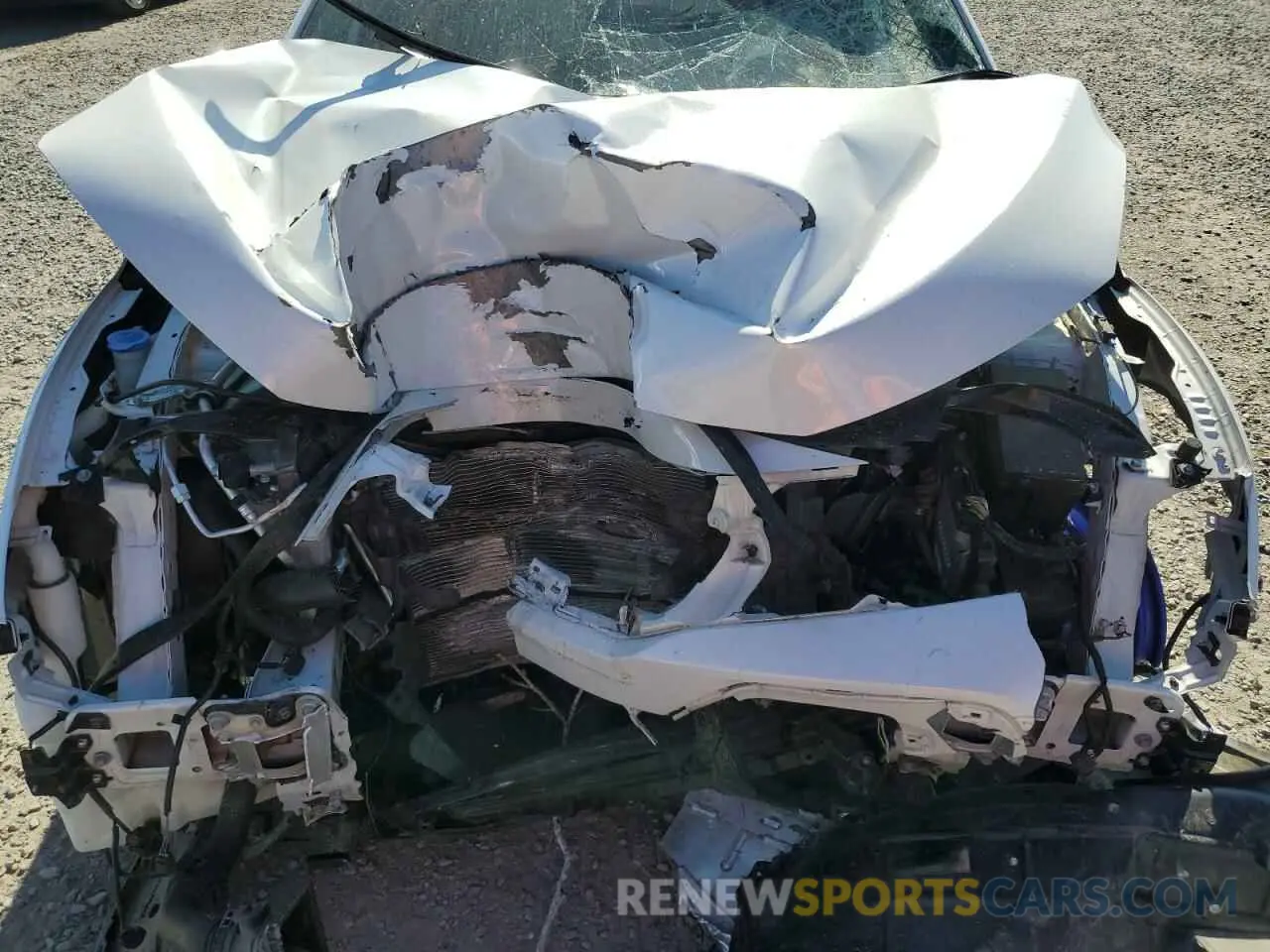 12 fotografías del automóvil dañado SHHFK7H97MU210567 HONDA CIVIC 2021