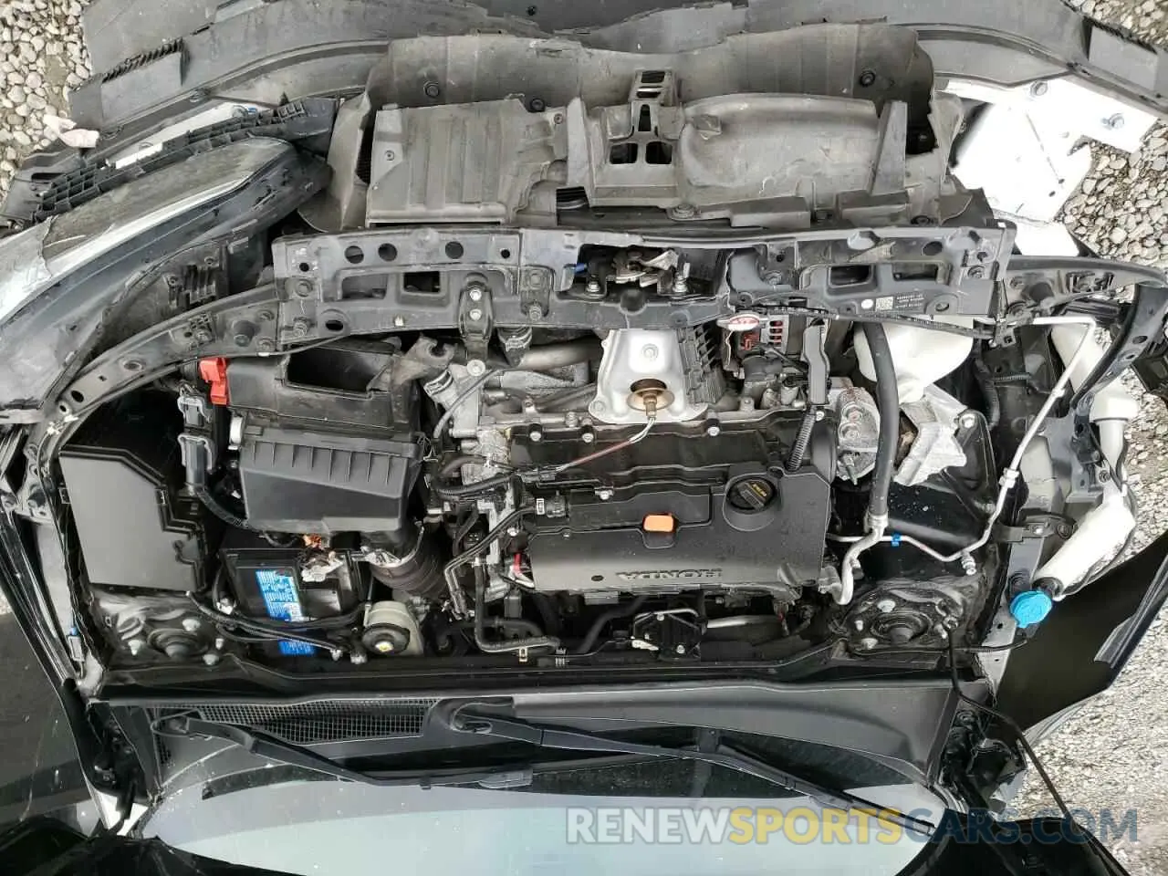 12 fotografías del automóvil dañado 19XFL2G88PE001178 HONDA CIVIC 2023