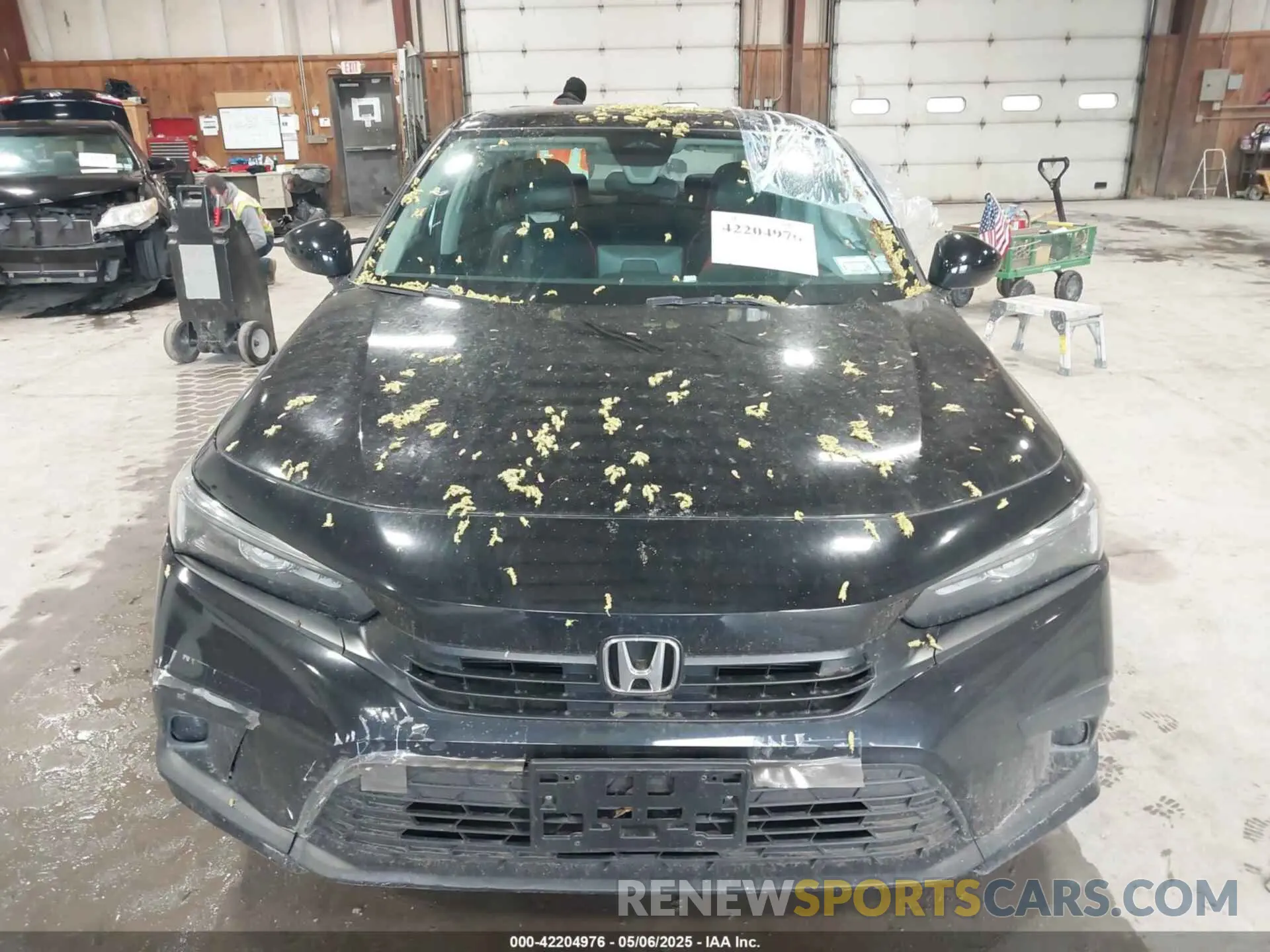 12 fotografías del automóvil dañado 2HGFE2F25PH530598 HONDA CIVIC 2023