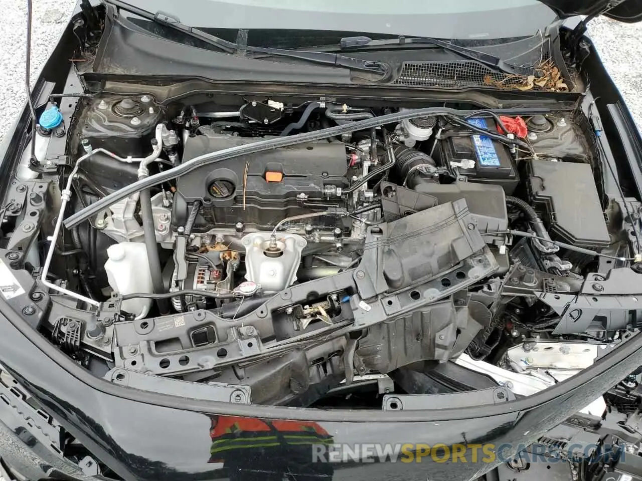 13 fotografías del automóvil dañado 19XFL2H80RE023905 HONDA CIVIC 2024