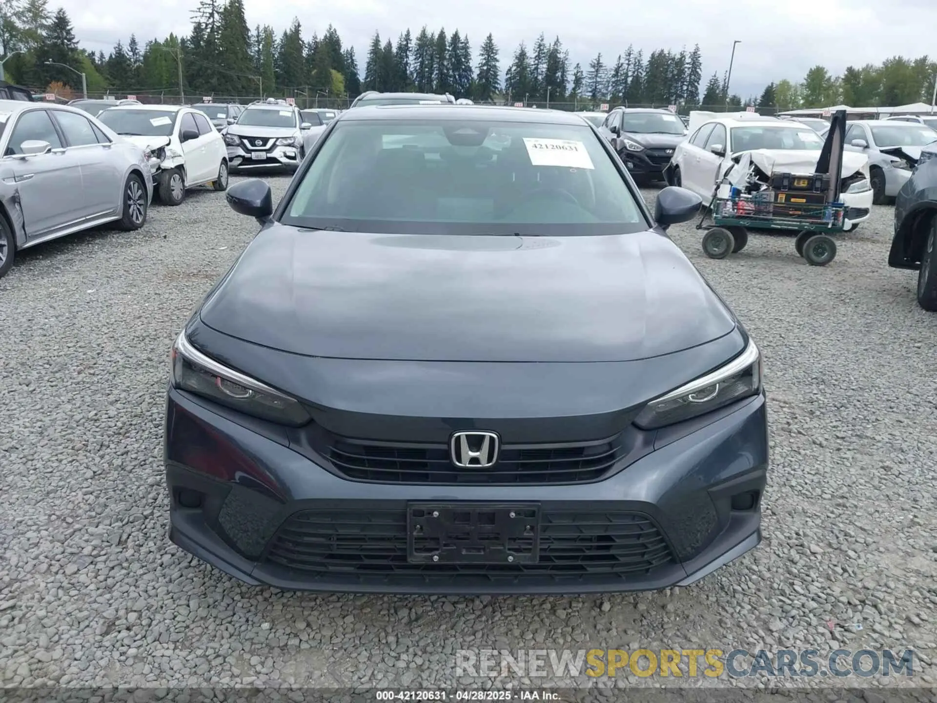 12 fotografías del automóvil dañado 2HGFE1F73RH315892 HONDA CIVIC 2024