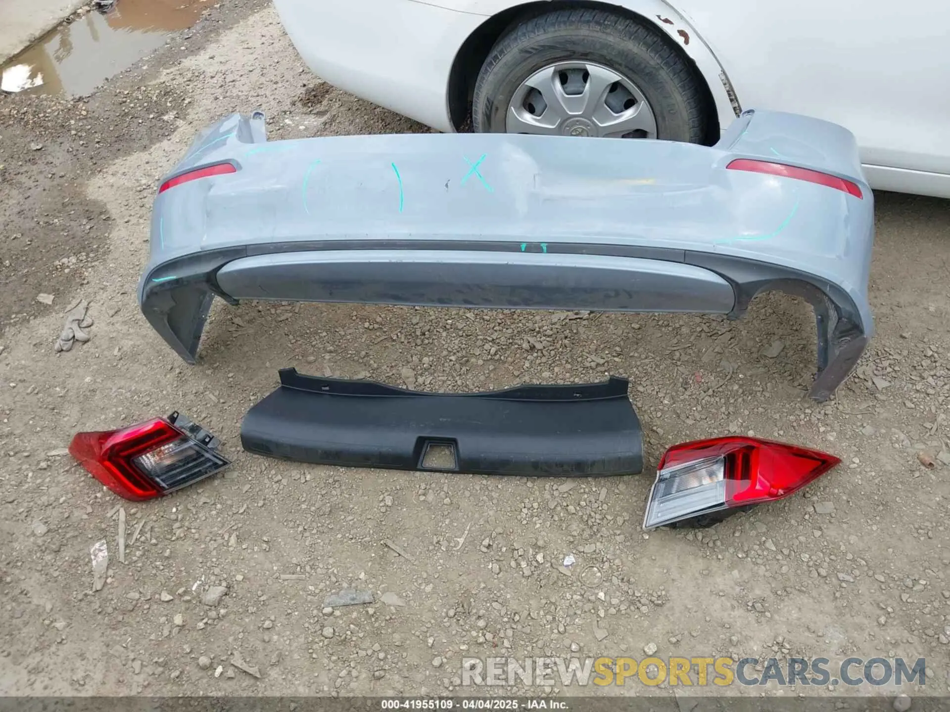 12 fotografías del automóvil dañado 2HGFE2F53RH584124 HONDA CIVIC 2024